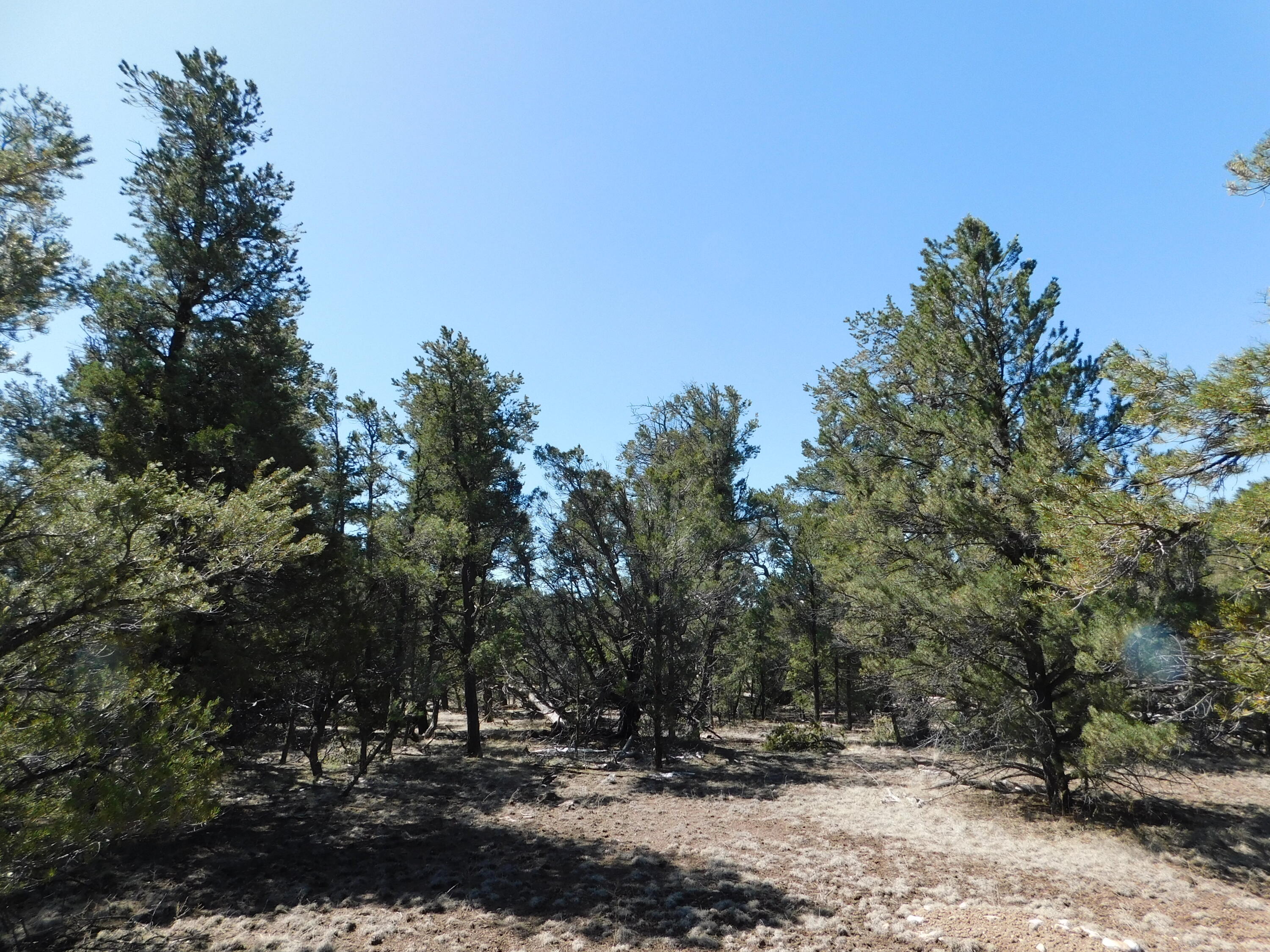 U-9 Turkey Trot Ln, Quemado, New Mexico image 9