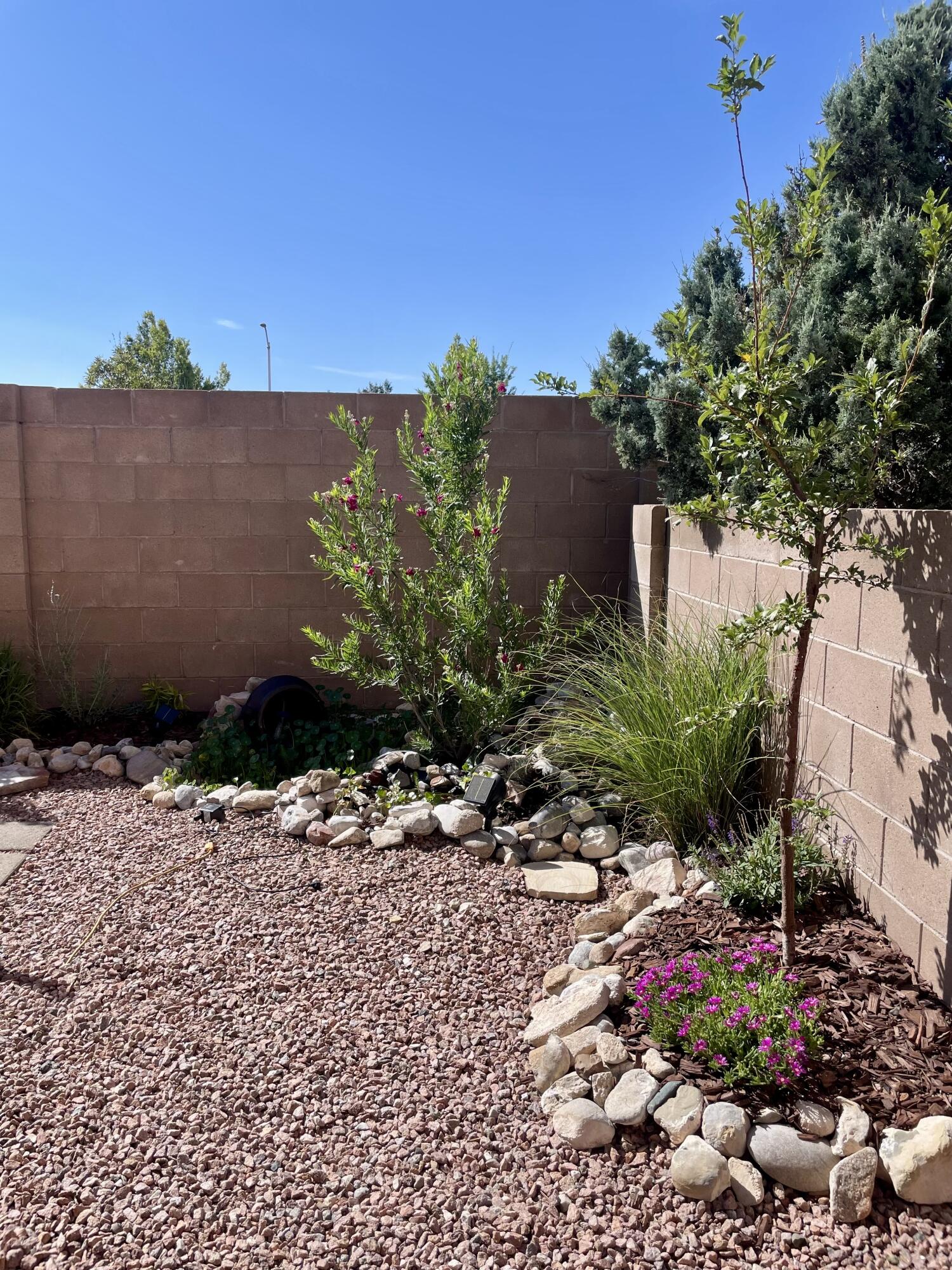11620 Terra Bonita Way, Albuquerque, New Mexico image 40