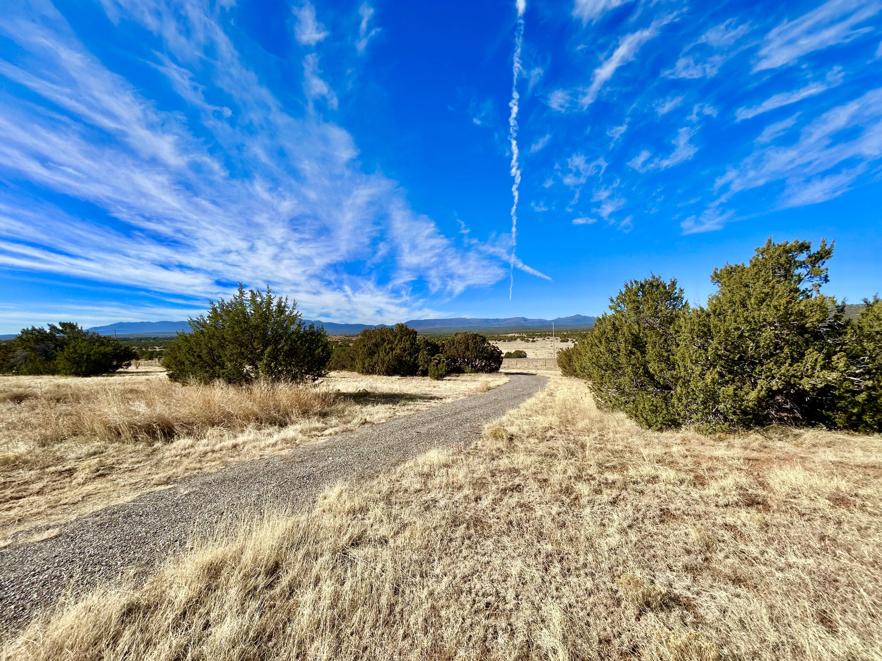 8991 State Highway 337 Highway, Estancia, New Mexico image 17