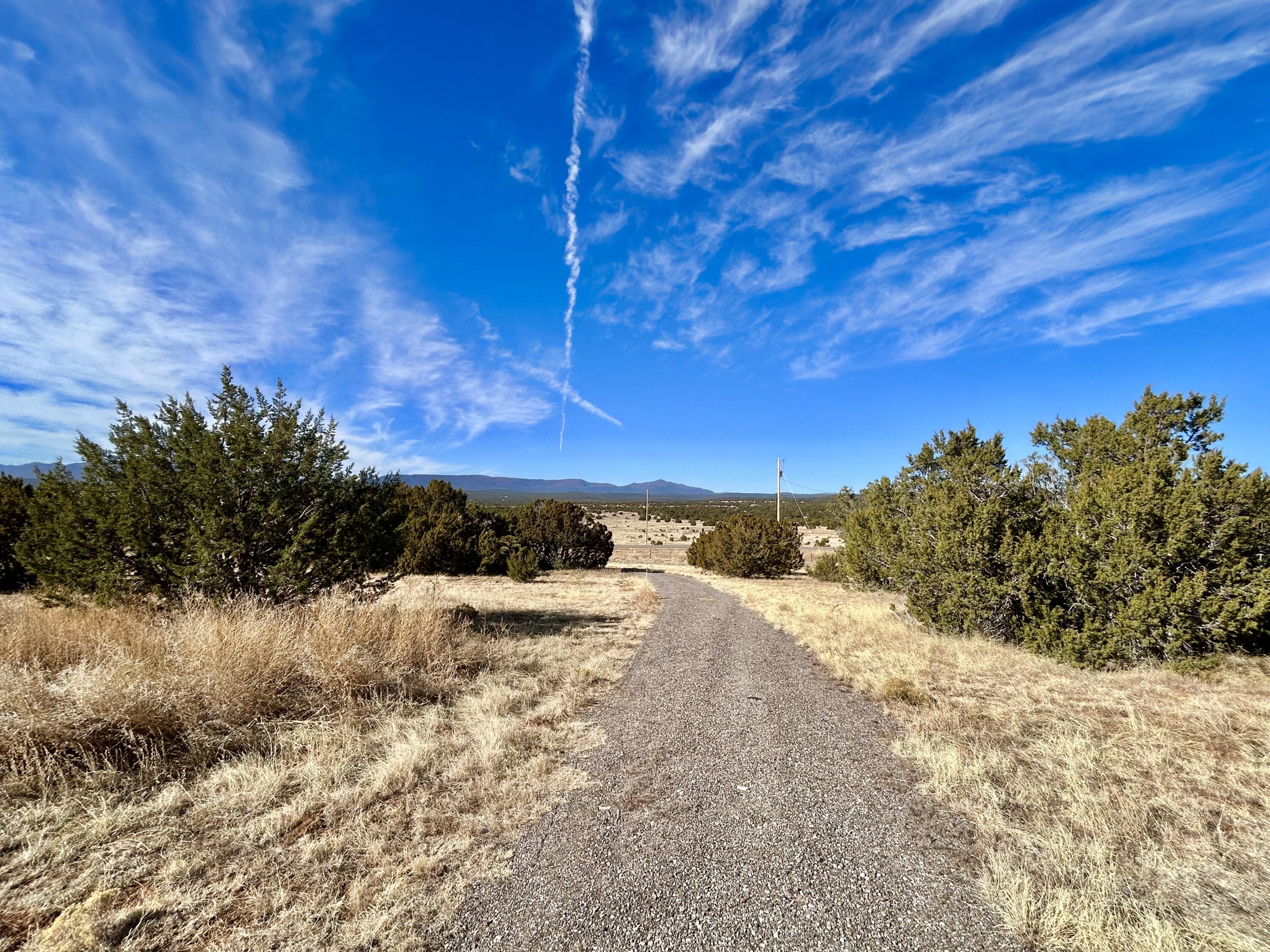 8991 State Highway 337 Highway, Estancia, New Mexico image 15