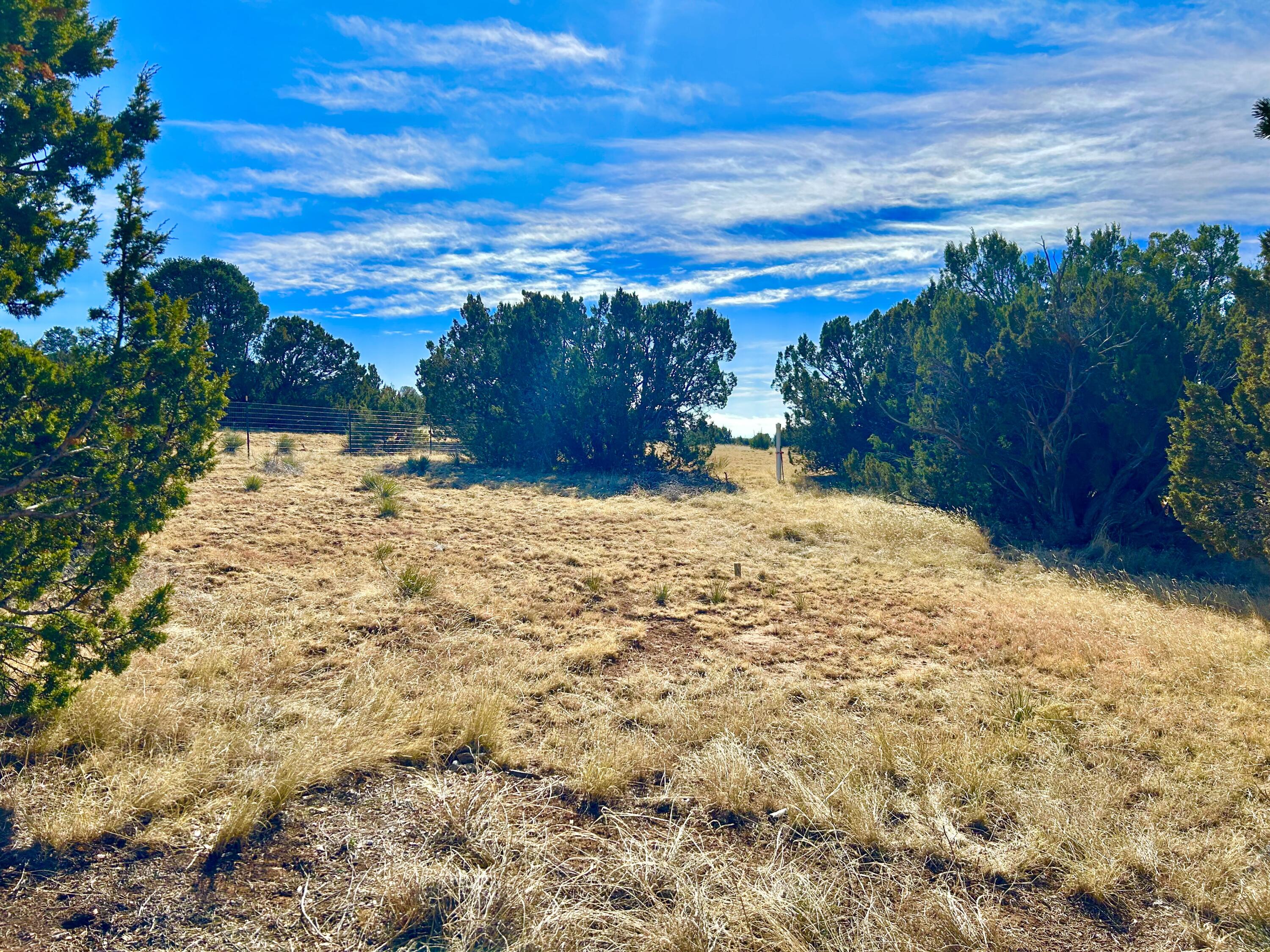 8991 State Highway 337 Highway, Estancia, New Mexico image 18