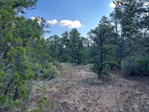 Photo of Lot R McComb Pass, Edgewood, NM 87015 (MLS # 1095119)