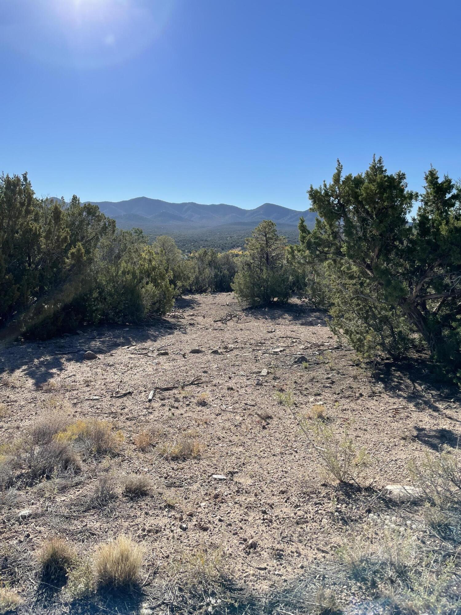 7 Corn Dance Court, Sandia Park, New Mexico image 5