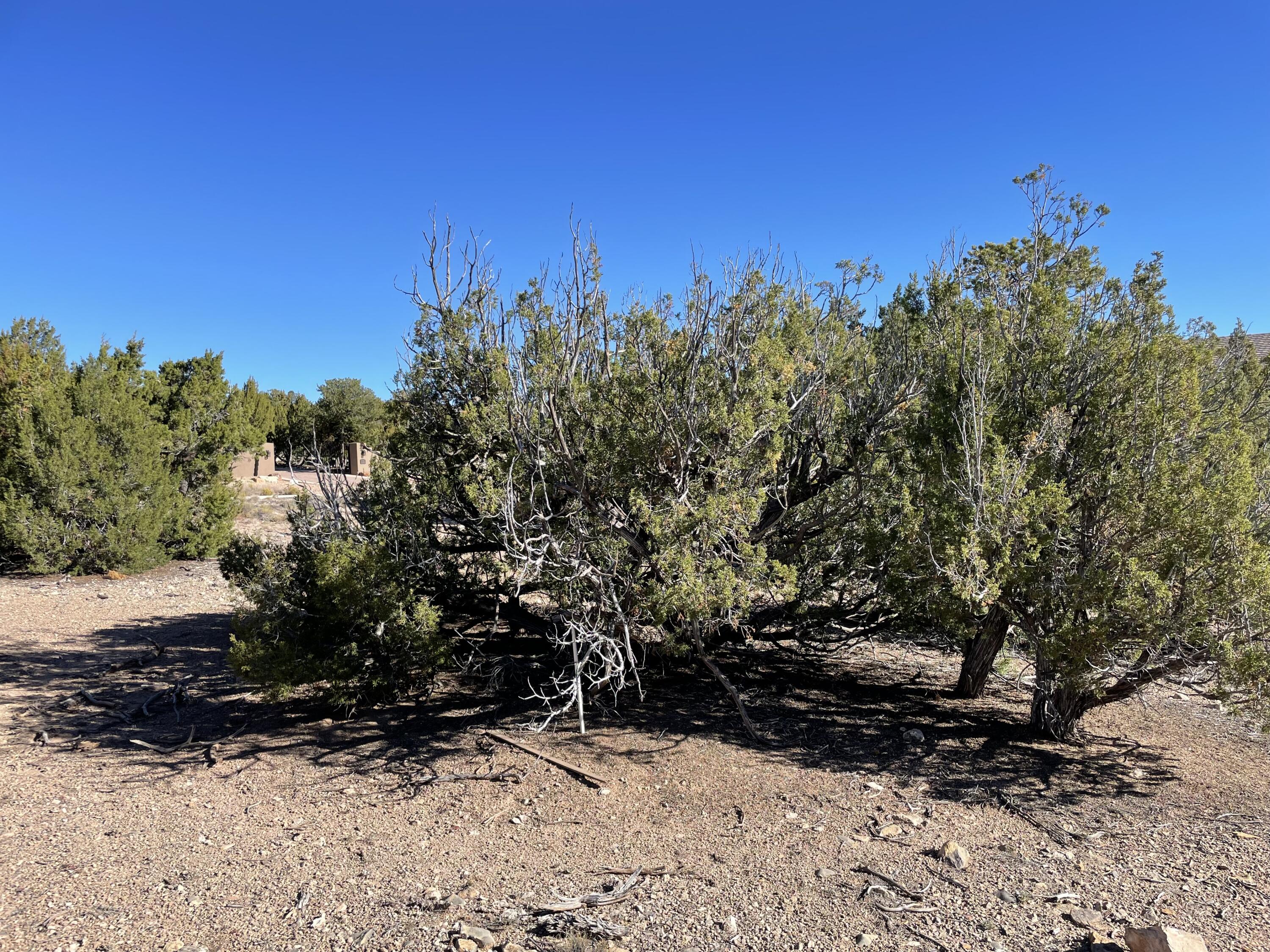 7 Corn Dance Court, Sandia Park, New Mexico image 18