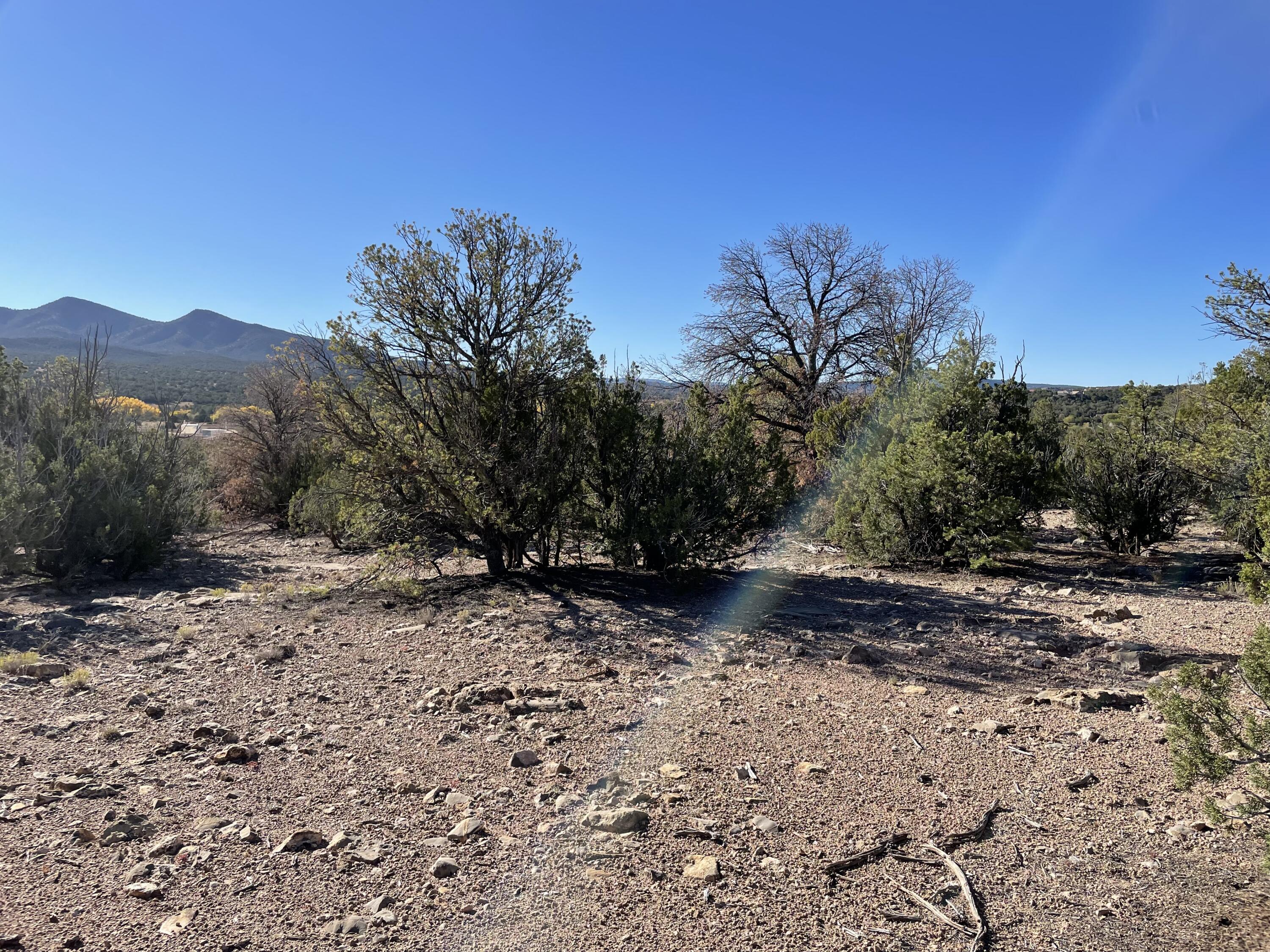 7 Corn Dance Court, Sandia Park, New Mexico image 11