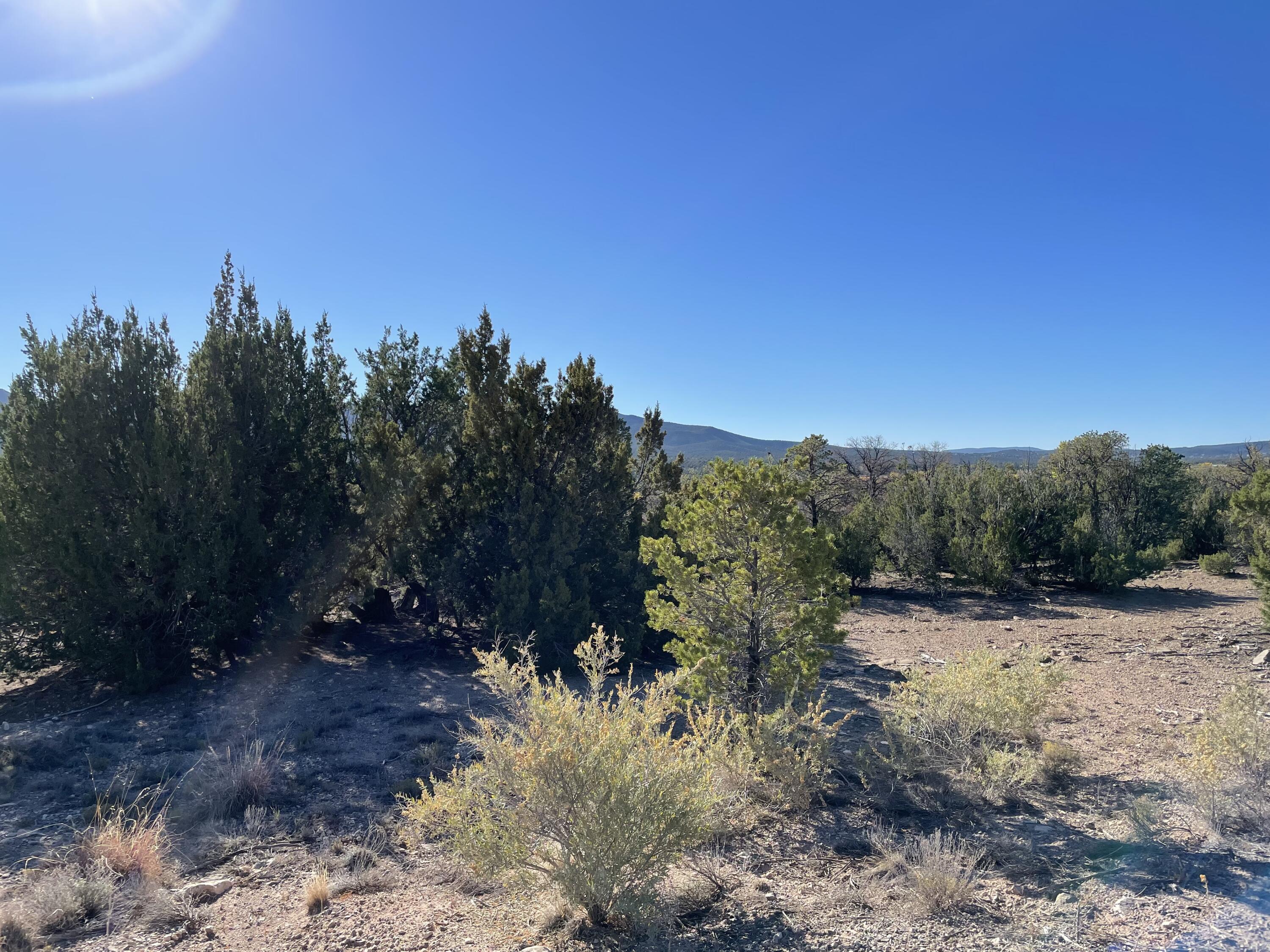 7 Corn Dance Court, Sandia Park, New Mexico image 4