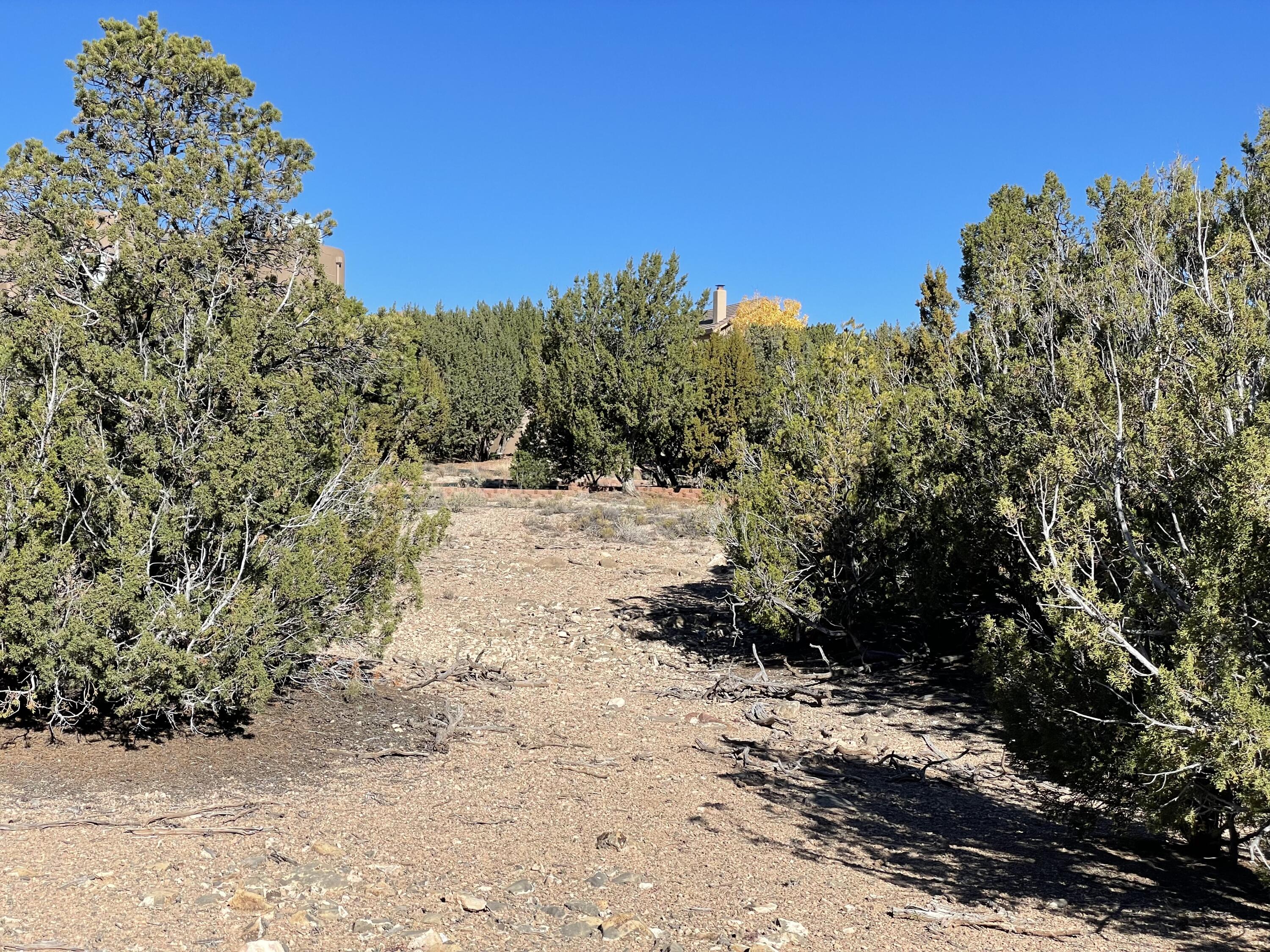 7 Corn Dance Court, Sandia Park, New Mexico image 13