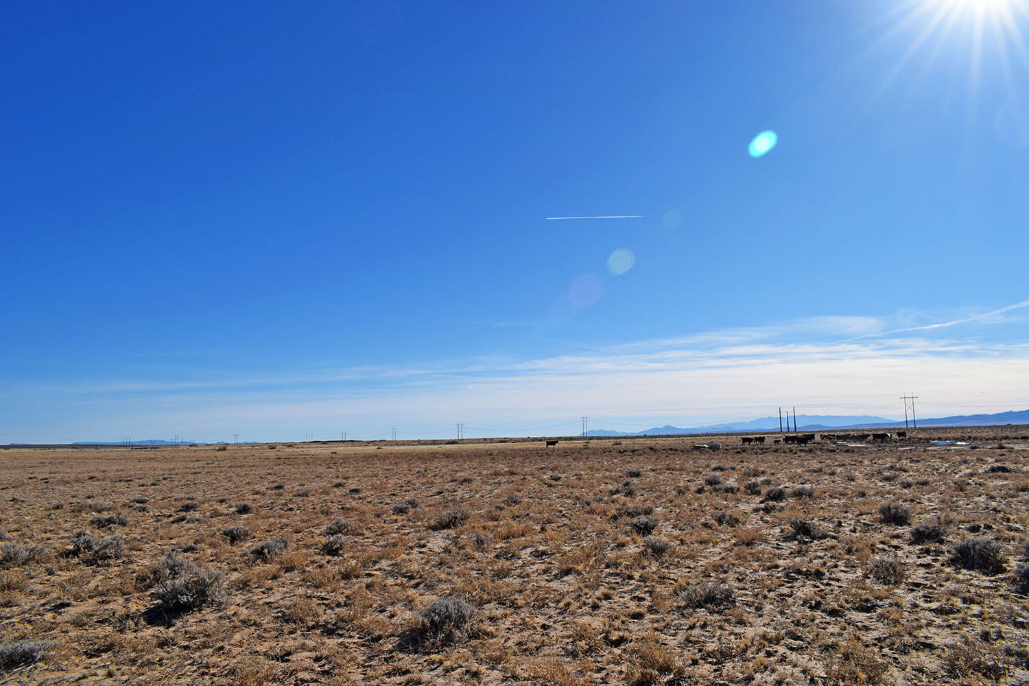 5 Lots Marble Quarry Road, Belen, New Mexico image 29