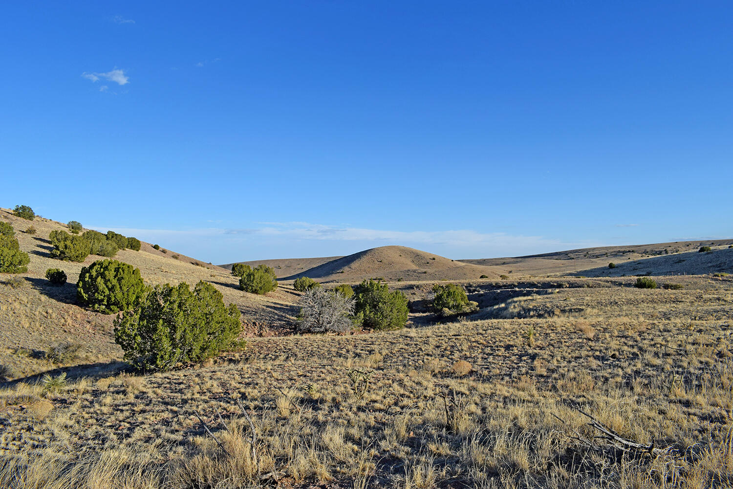153 Desert Highlands Road, San Antonio, New Mexico image 21