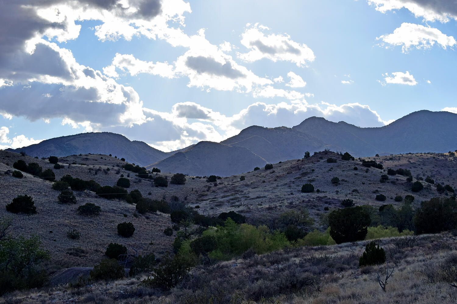 153 Desert Highlands Road, San Antonio, New Mexico image 4
