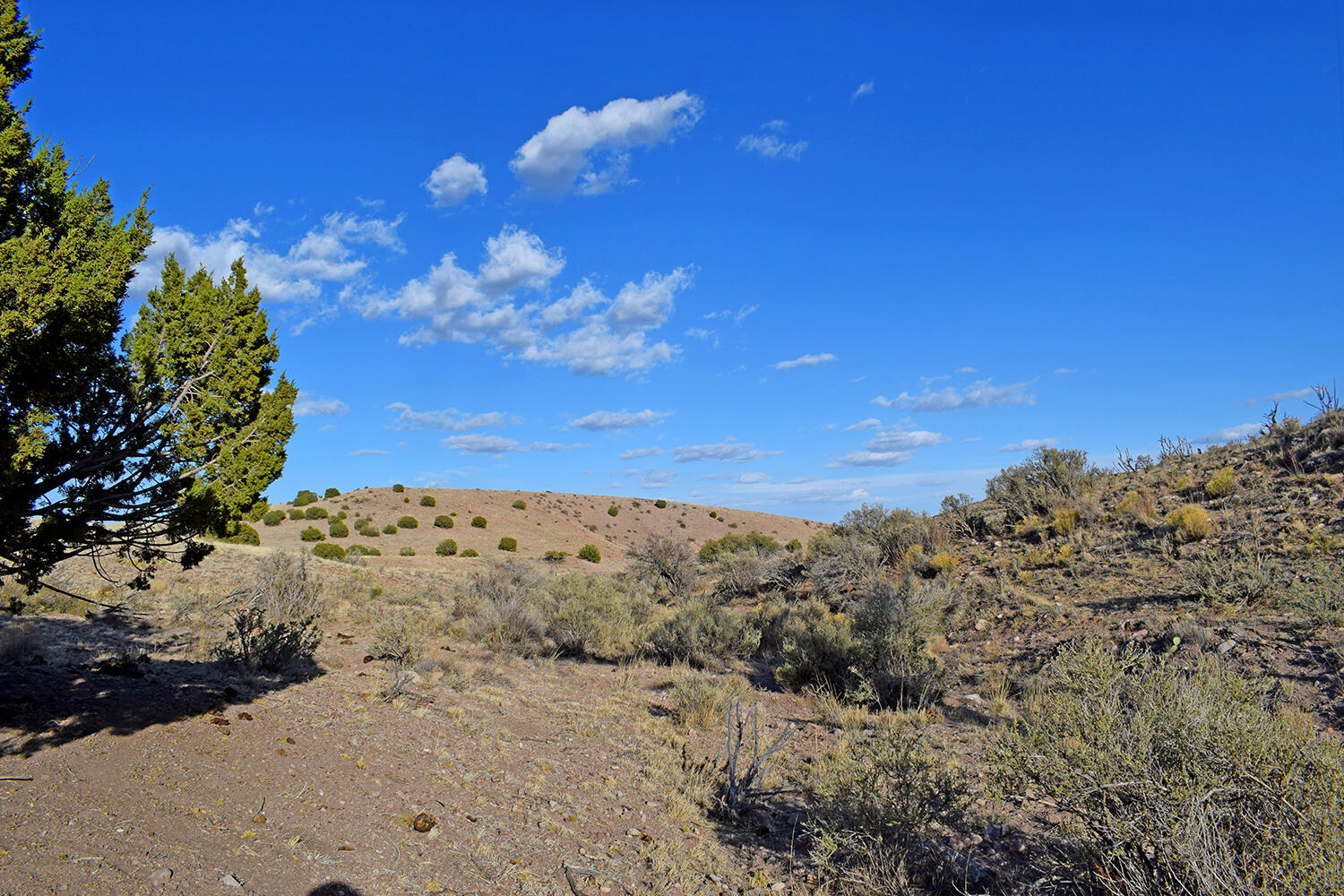 153 Desert Highlands Road, San Antonio, New Mexico image 6