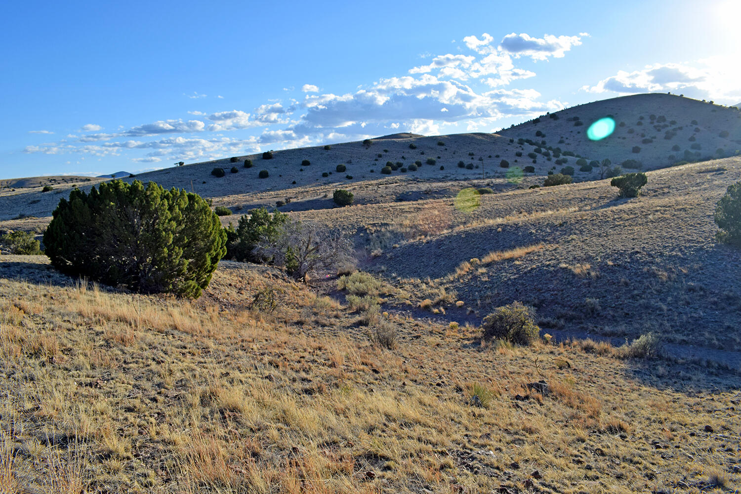 153 Desert Highlands Road, San Antonio, New Mexico image 19