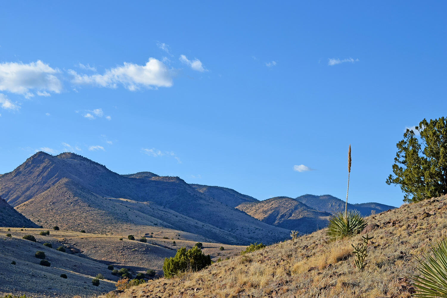 153 Desert Highlands Road, San Antonio, New Mexico image 14