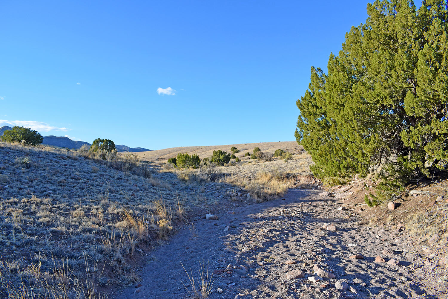 153 Desert Highlands Road, San Antonio, New Mexico image 20