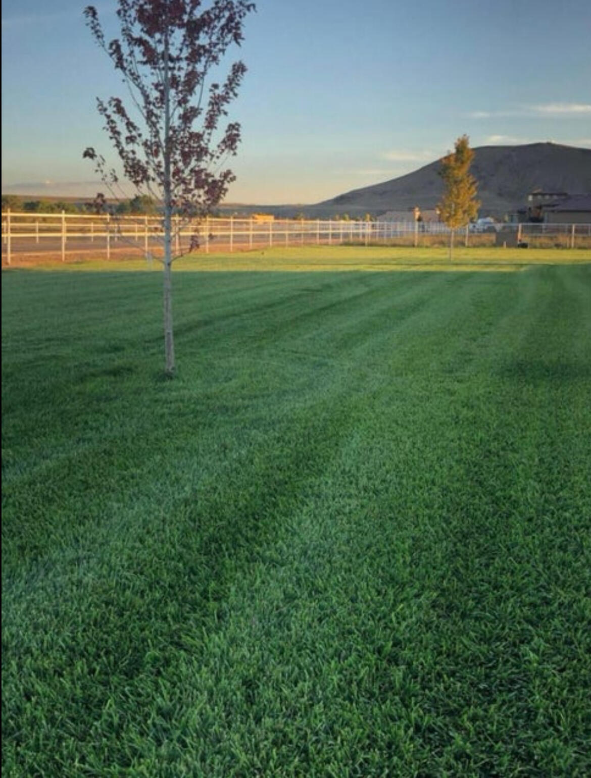 2 Wishbone Ct. Court, Los Lunas, New Mexico image 48