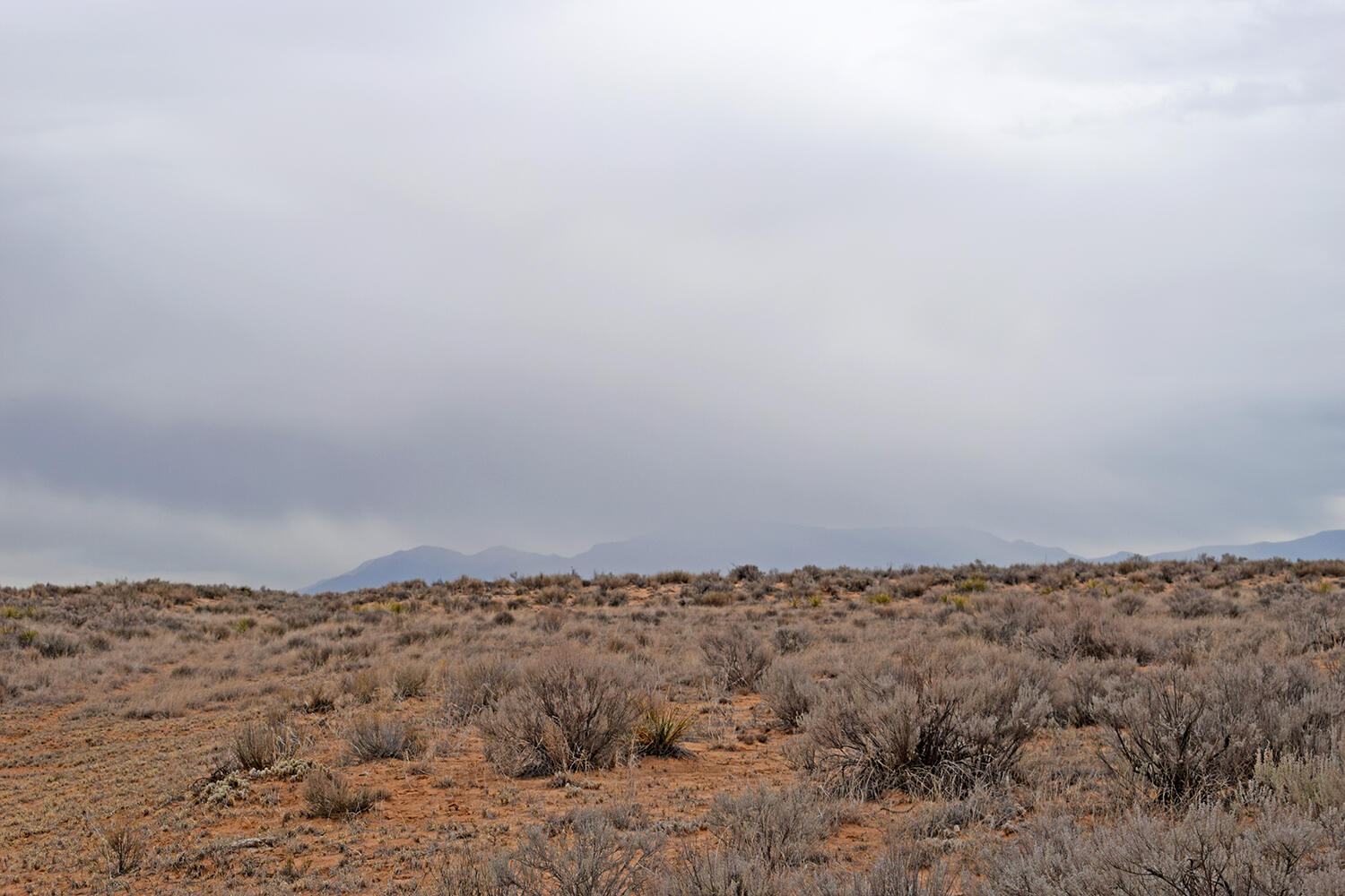 Lot 6 Rio Grande Estates #V, Belen, New Mexico image 27