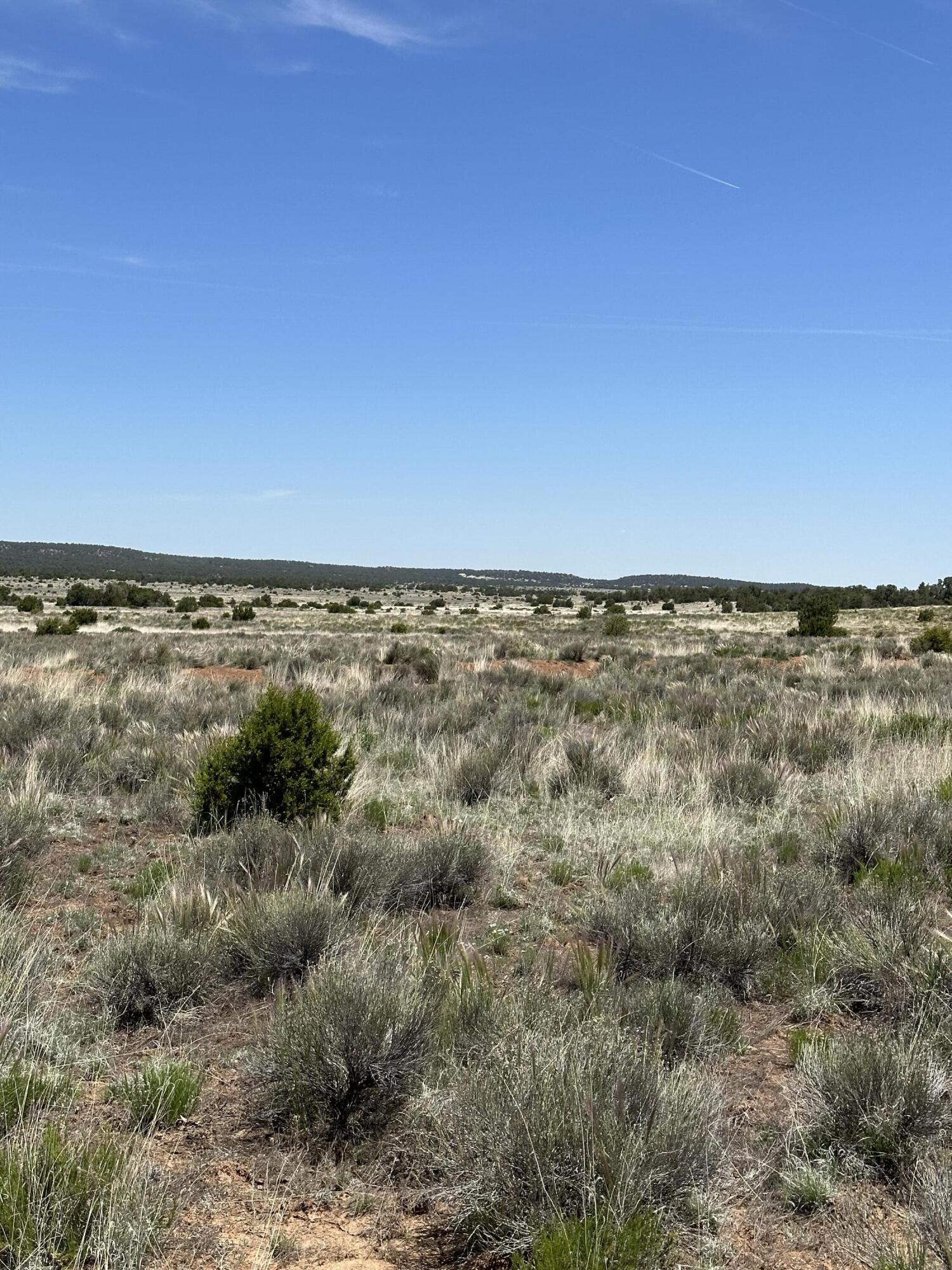 Unk Blue Hills Trail, Pie Town, New Mexico image 5