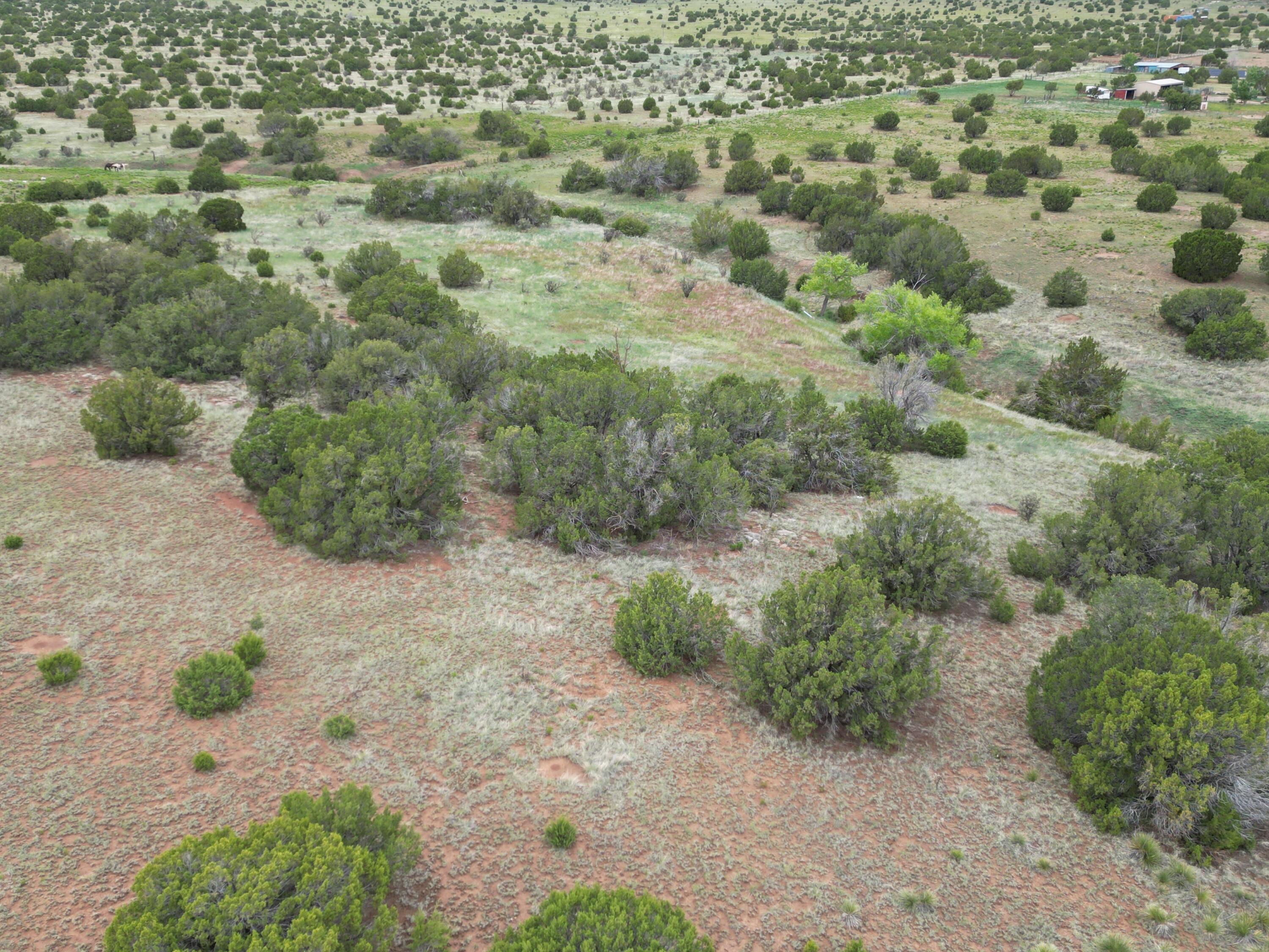 Windhaven Lane, Edgewood, New Mexico image 3