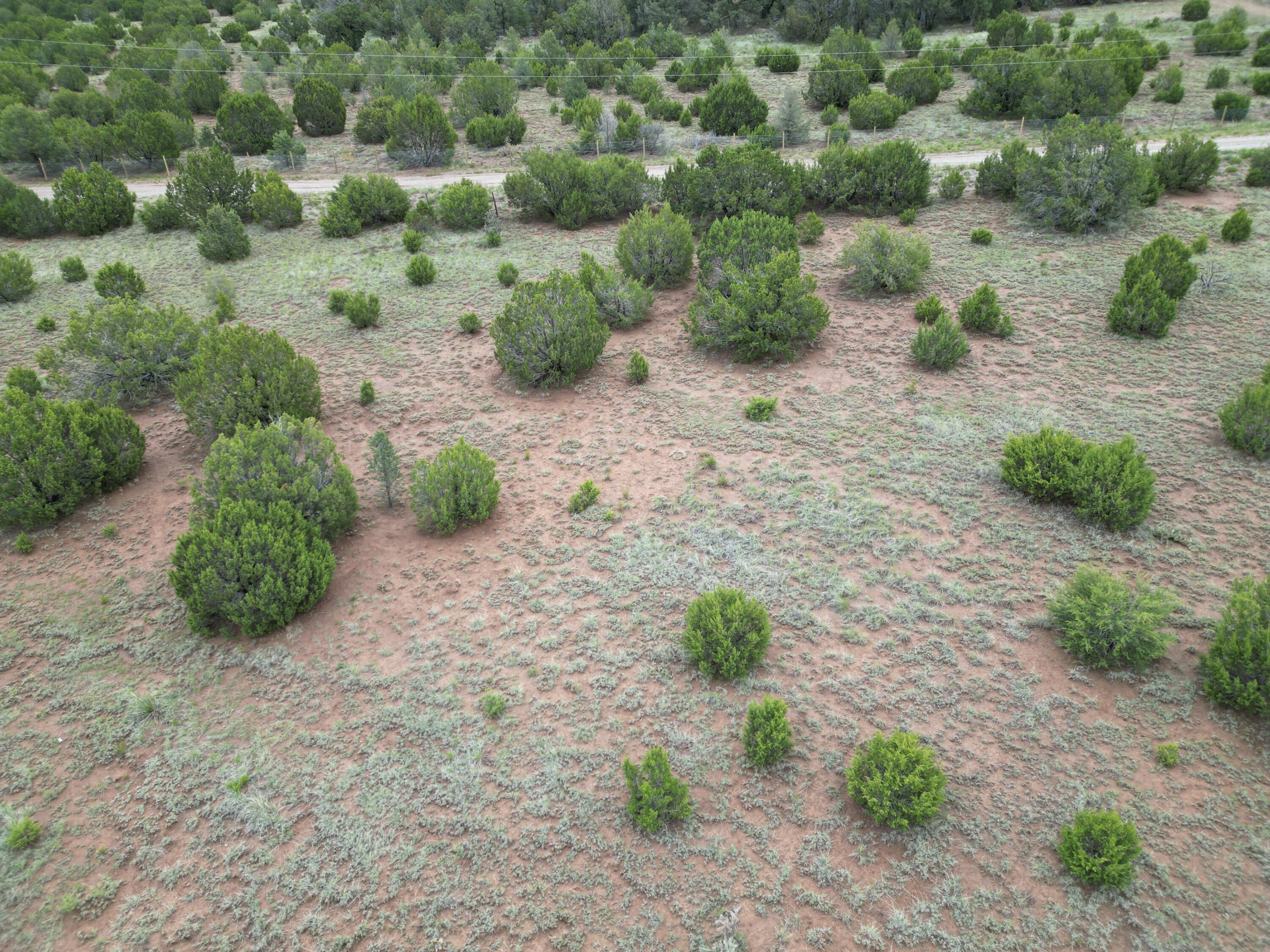 Windhaven Lane, Edgewood, New Mexico image 6