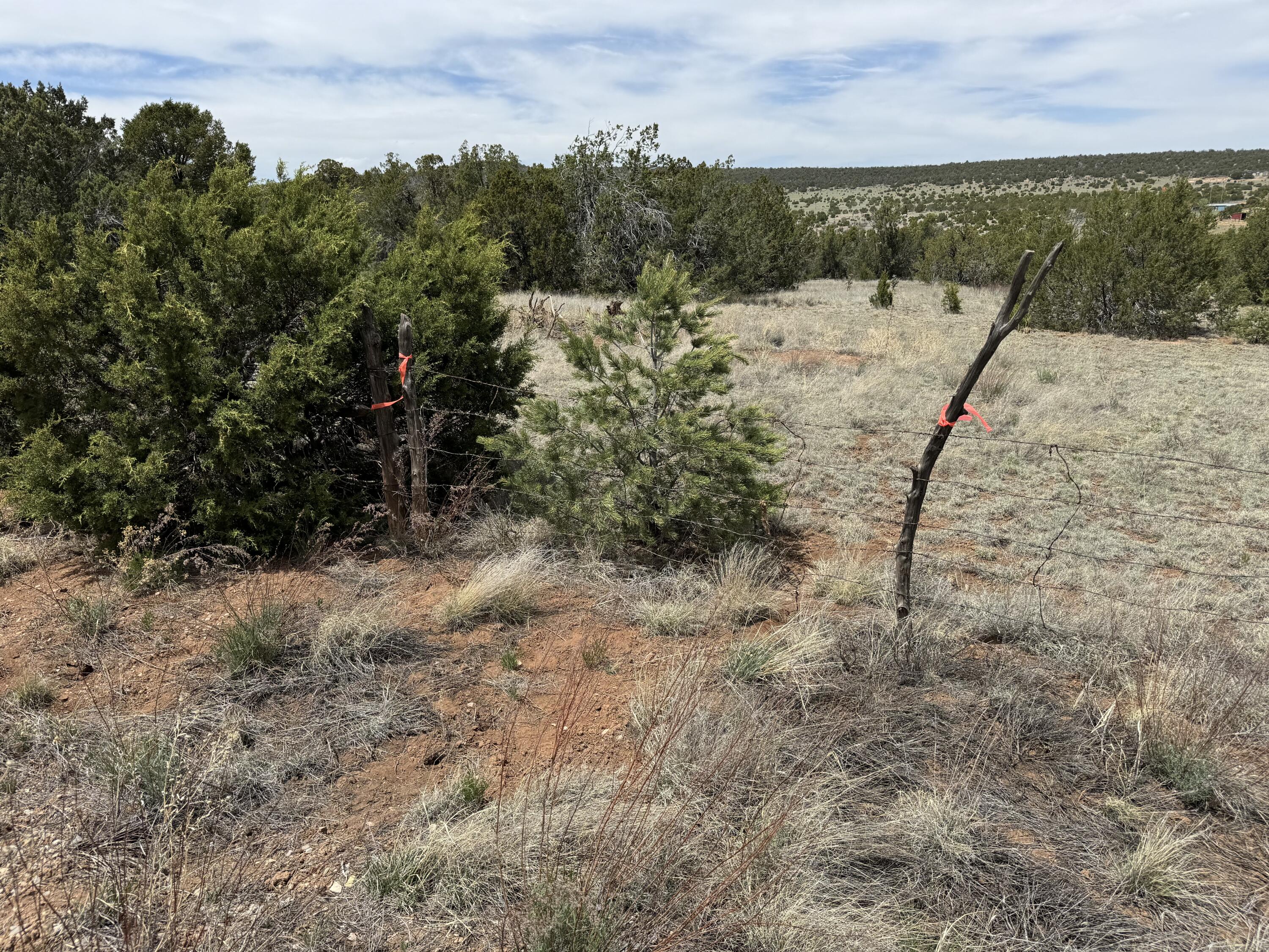 Windhaven Lane, Edgewood, New Mexico image 10