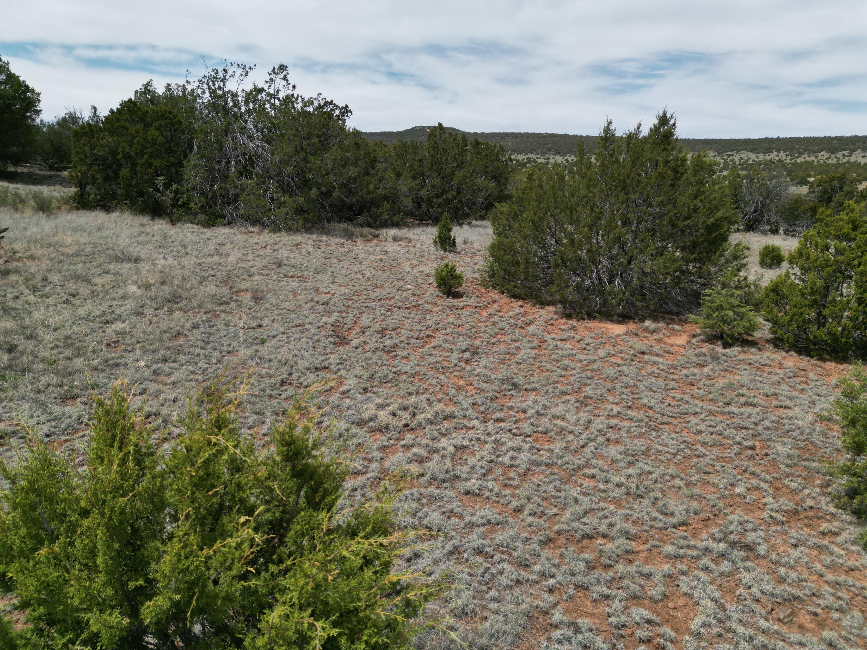 Windhaven Lane, Edgewood, New Mexico image 9