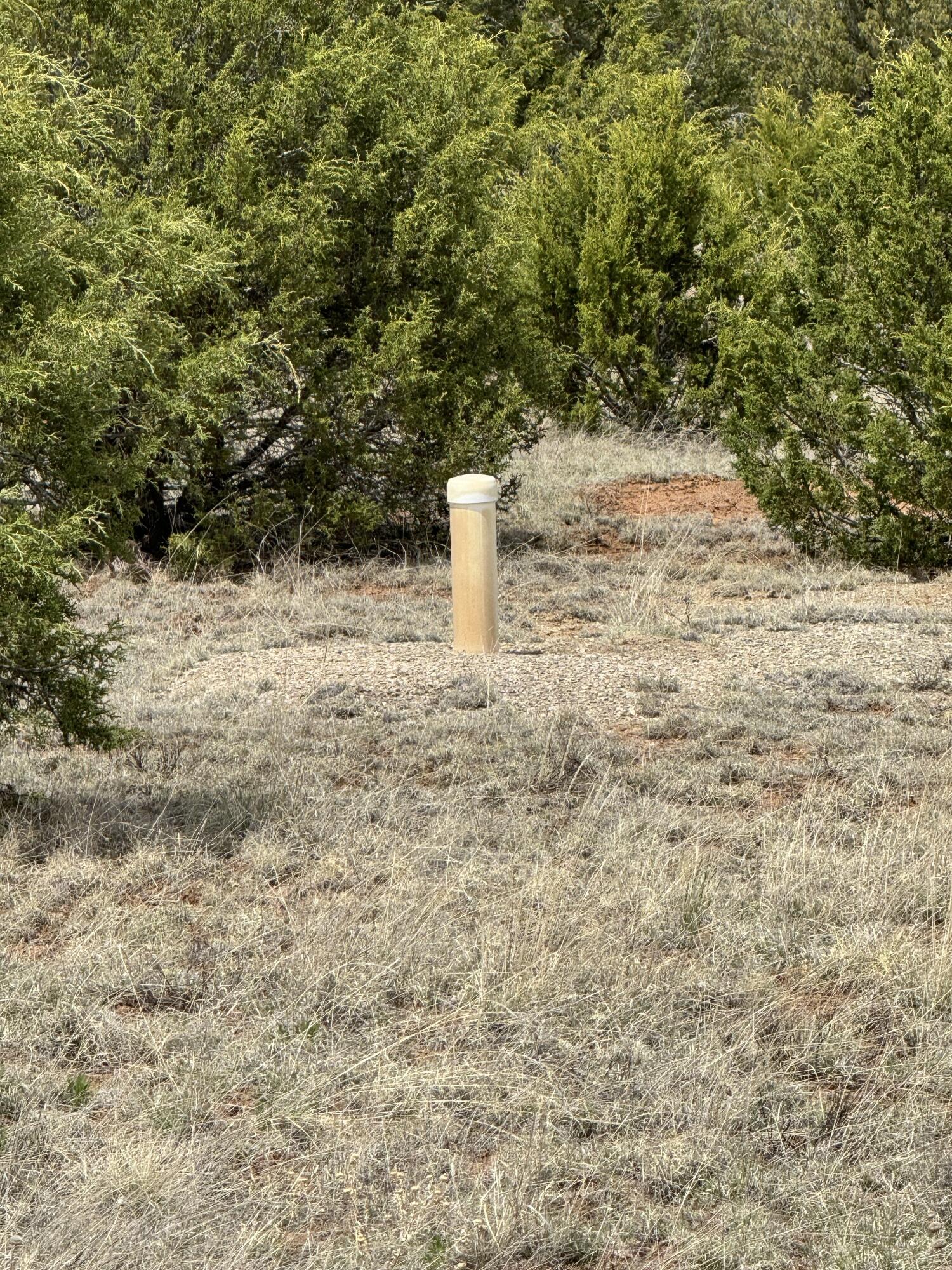 Windhaven Lane, Edgewood, New Mexico image 8