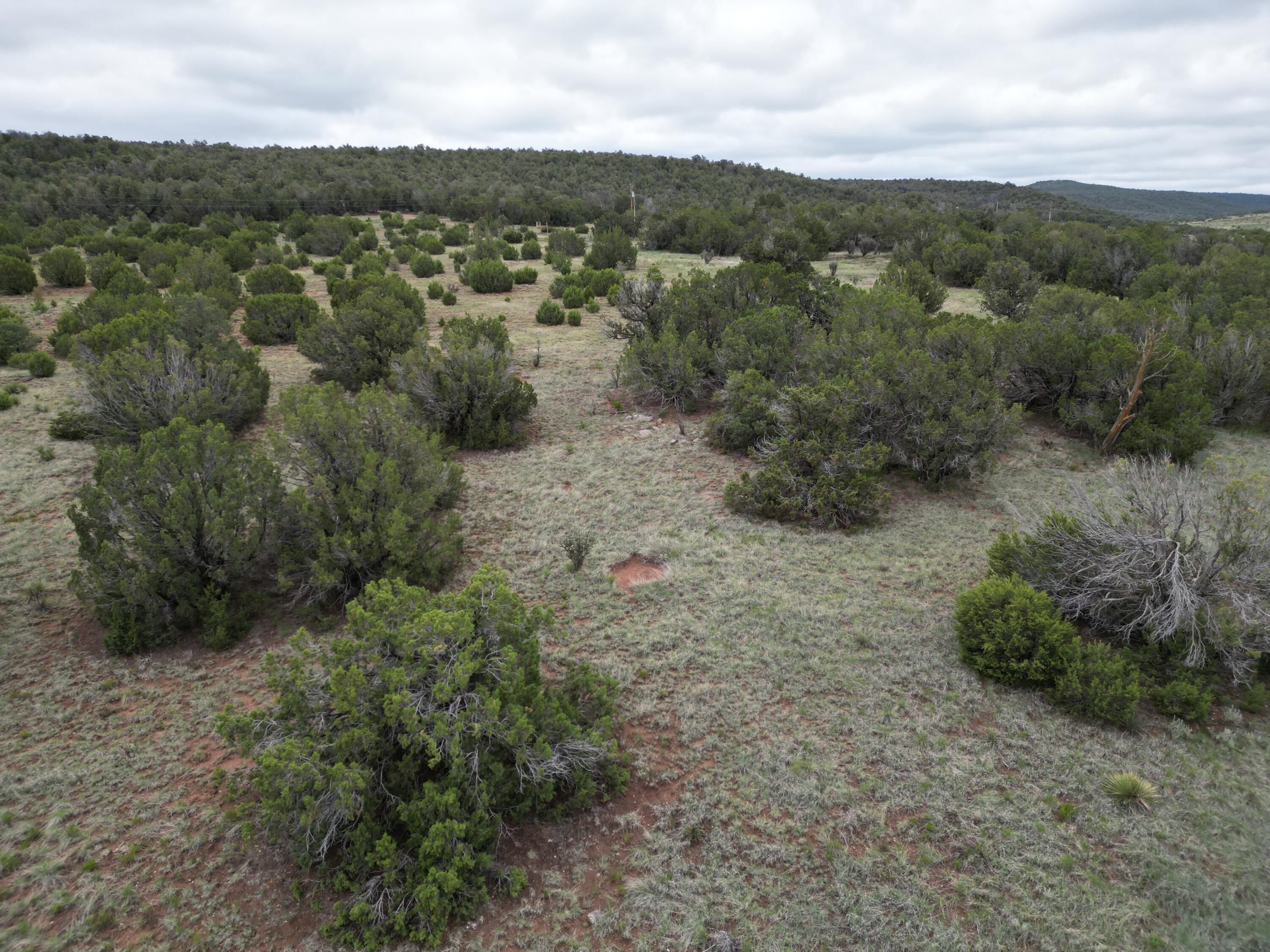 Windhaven Lane, Edgewood, New Mexico image 1