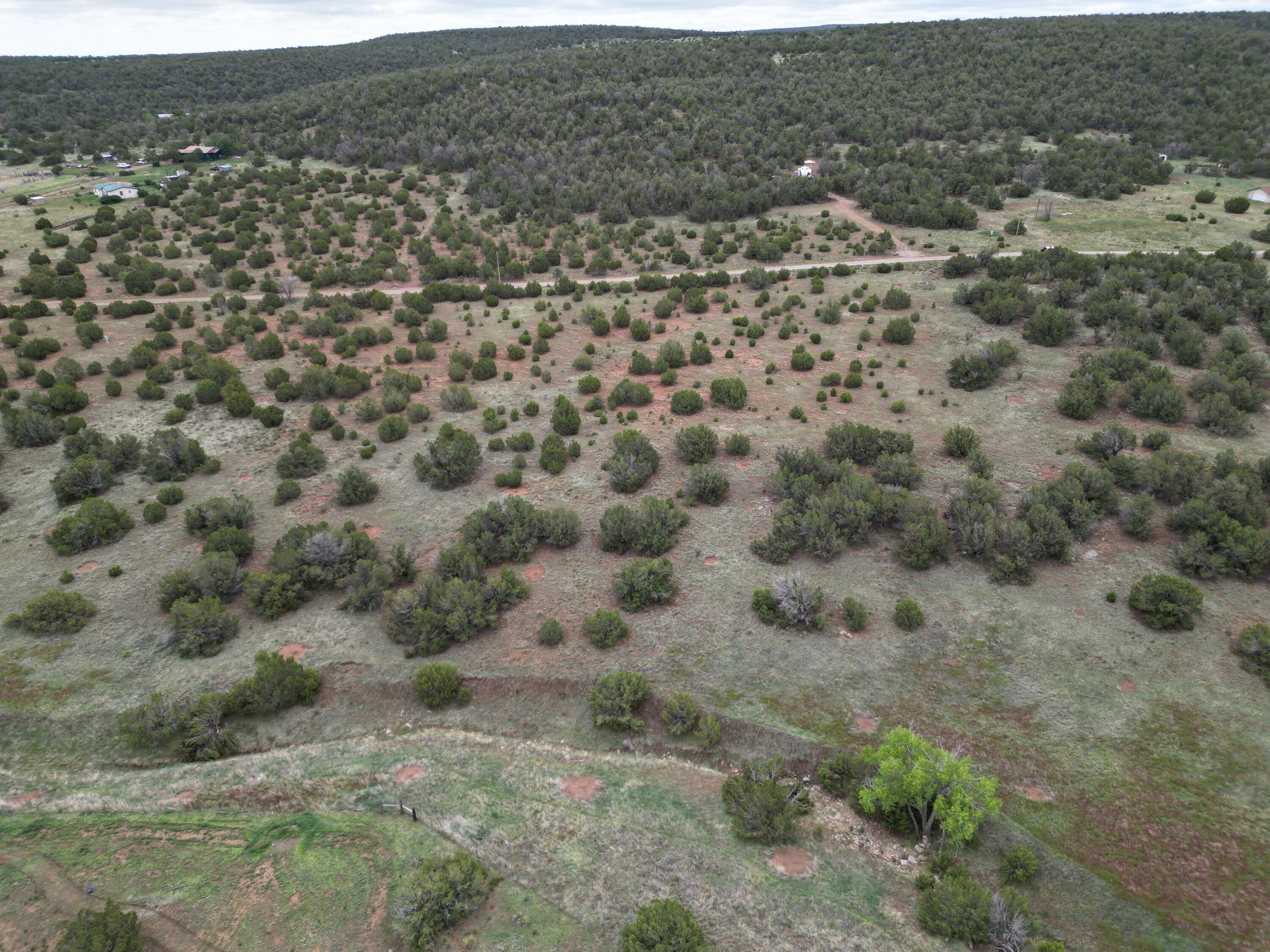 Windhaven Lane, Edgewood, New Mexico image 12