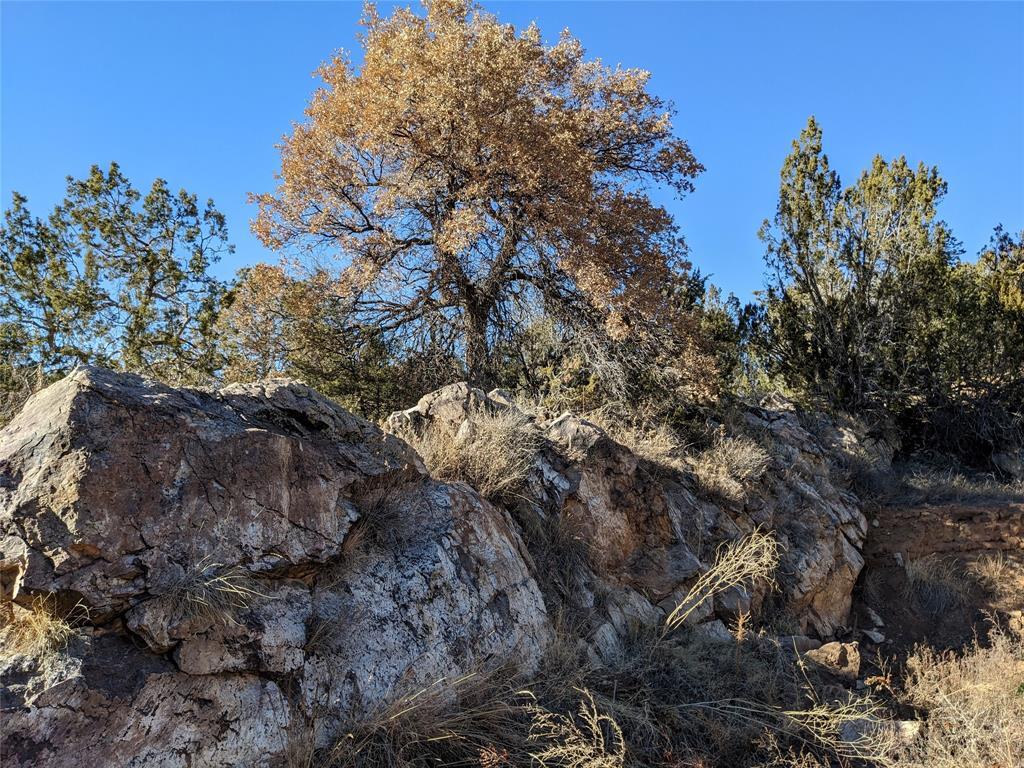 626 County Road B36, Ribera, New Mexico image 1