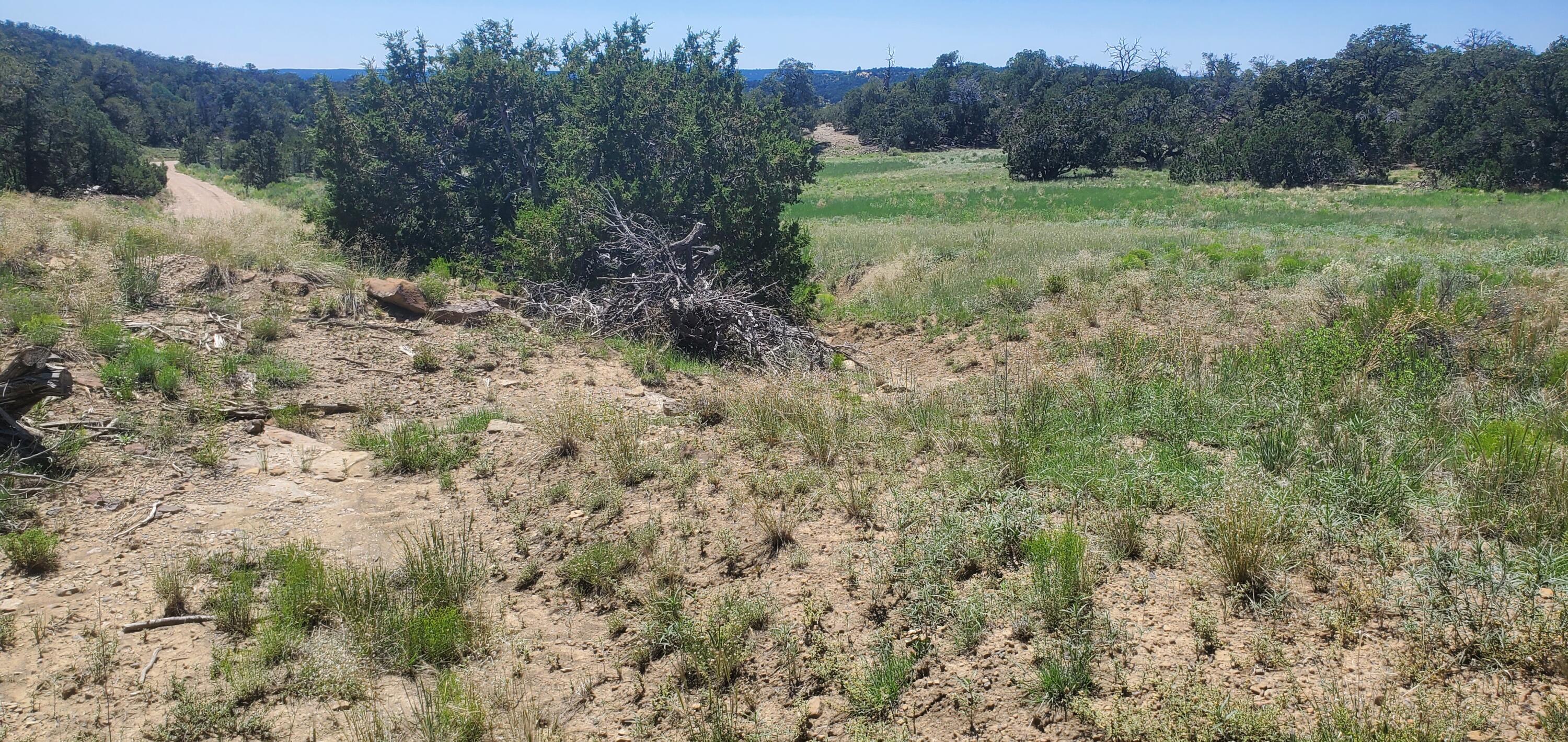 Lot 7 Coyote Canyon Road, Ramah, New Mexico image 39