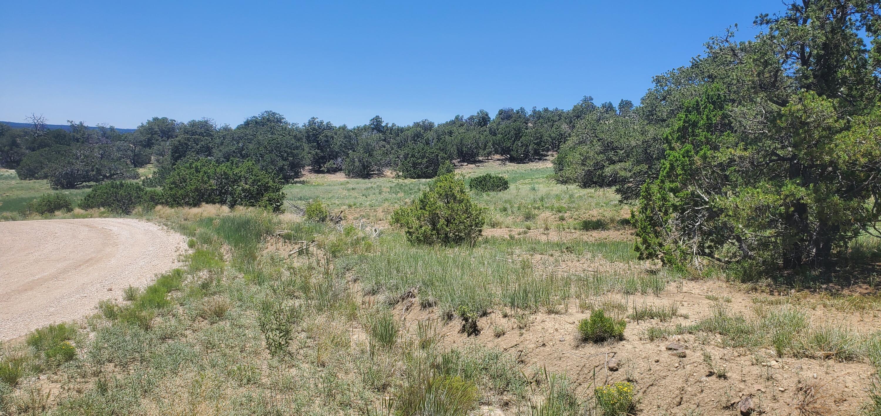 Lot 7 Coyote Canyon Road, Ramah, New Mexico image 12