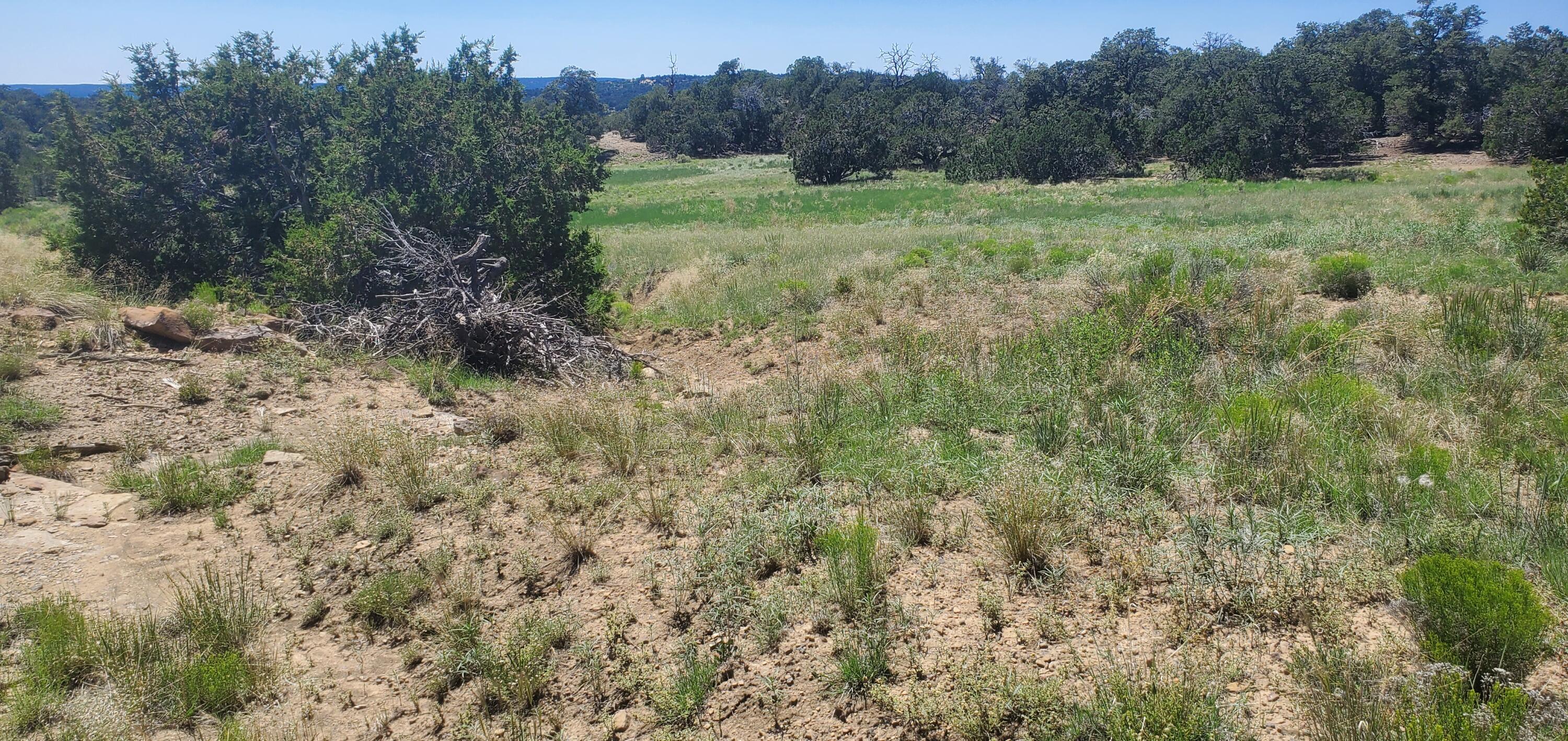 Lot 7 Coyote Canyon Road, Ramah, New Mexico image 38