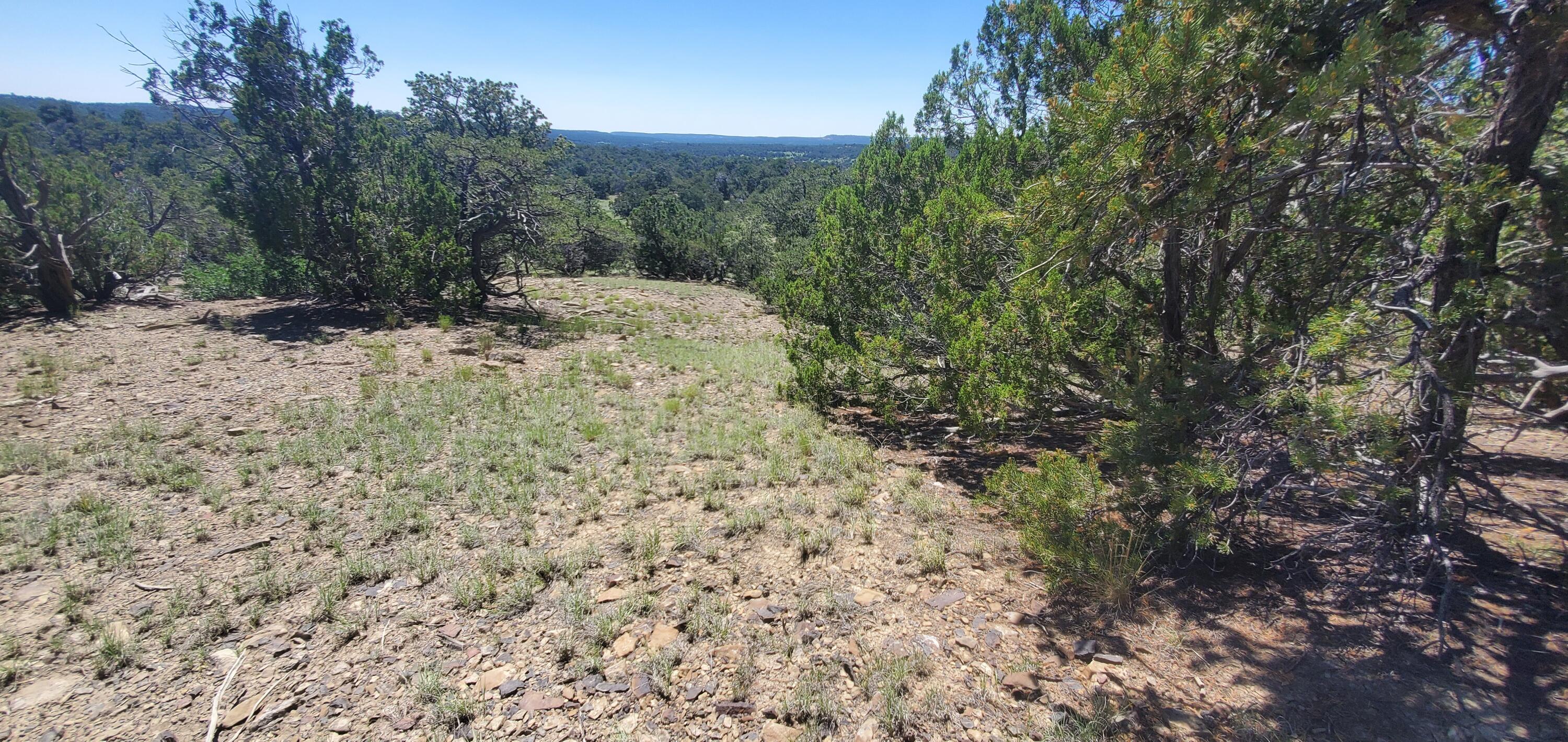 Lot 7 Coyote Canyon Road, Ramah, New Mexico image 34