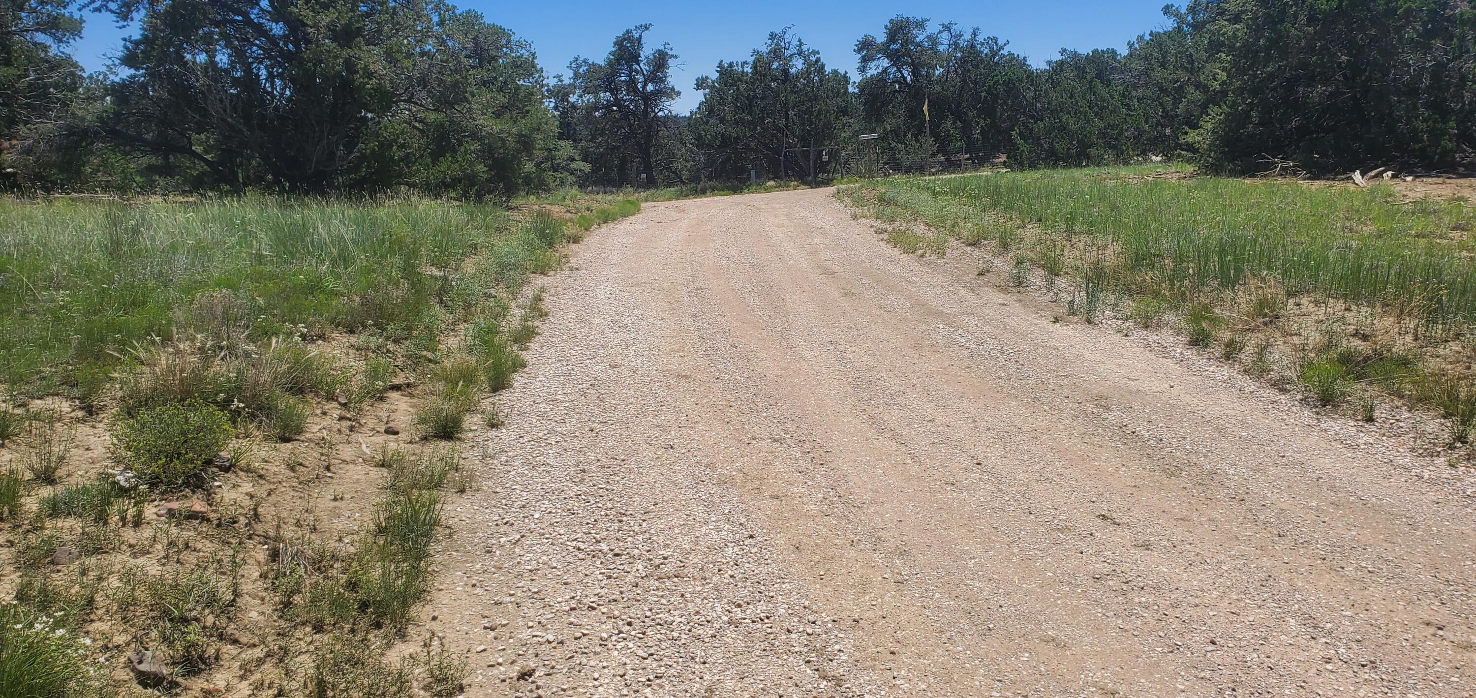 Lot 7 Coyote Canyon Road, Ramah, New Mexico image 7