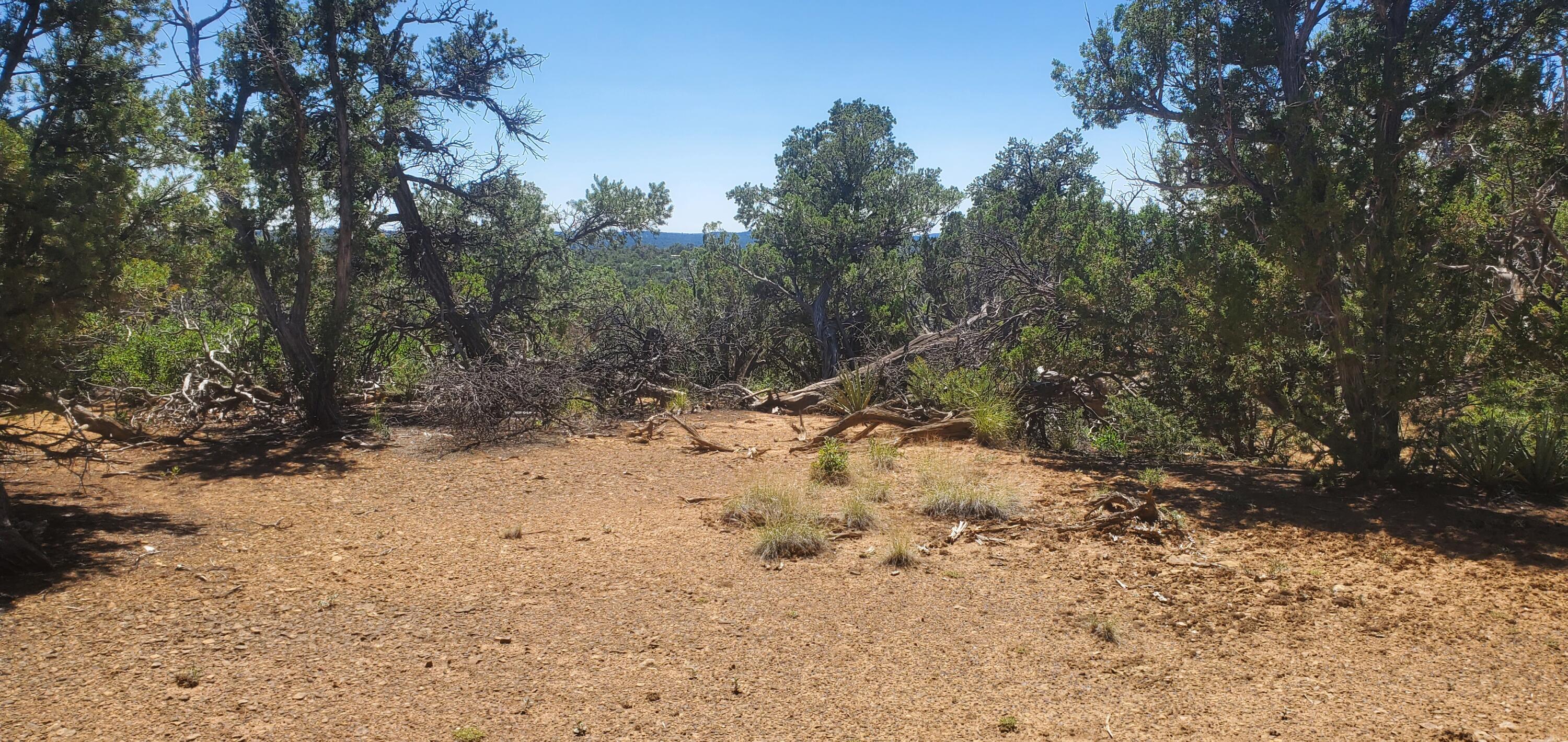 Lot 7 Coyote Canyon Road, Ramah, New Mexico image 24