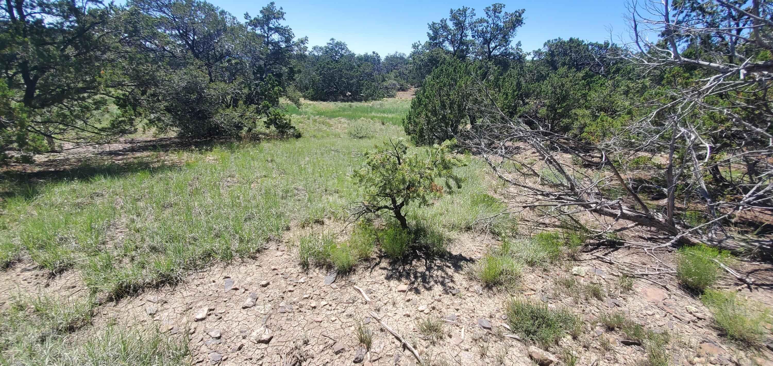 Lot 7 Coyote Canyon Road, Ramah, New Mexico image 36