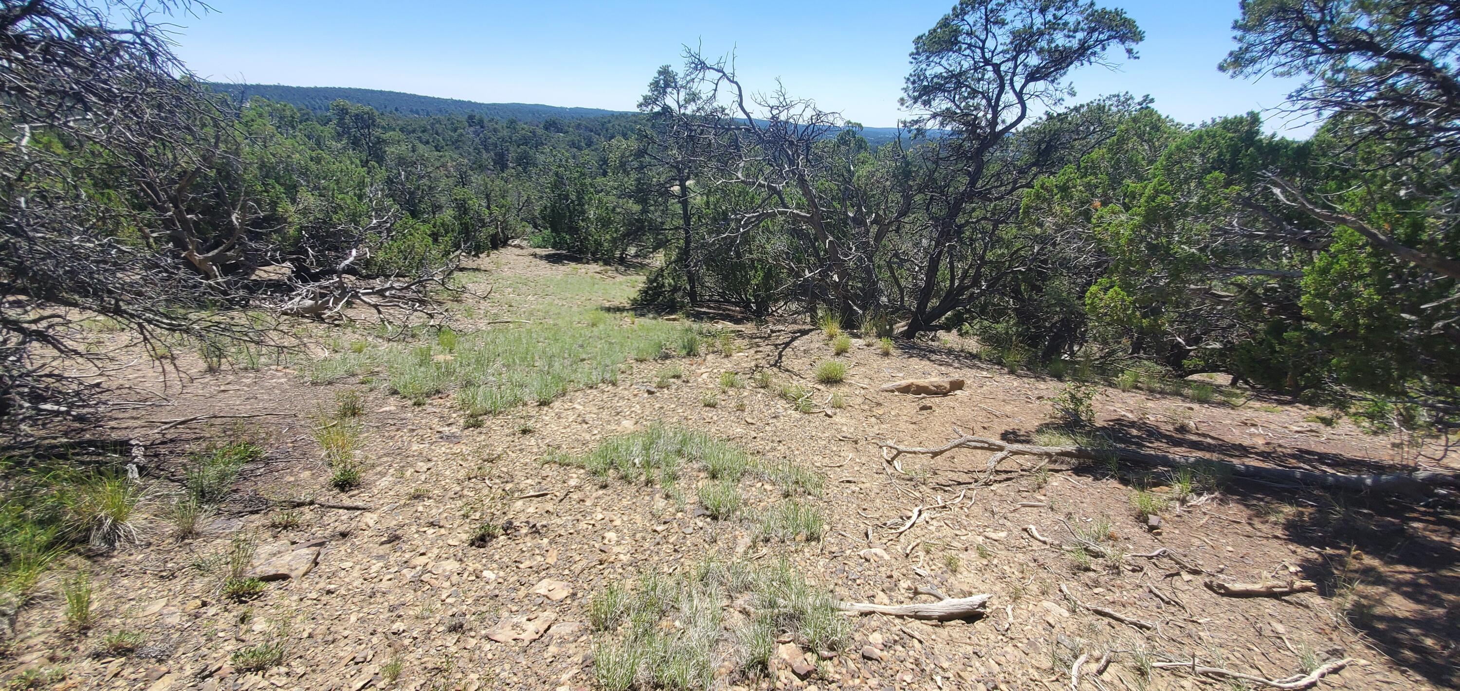 Lot 7 Coyote Canyon Road, Ramah, New Mexico image 33