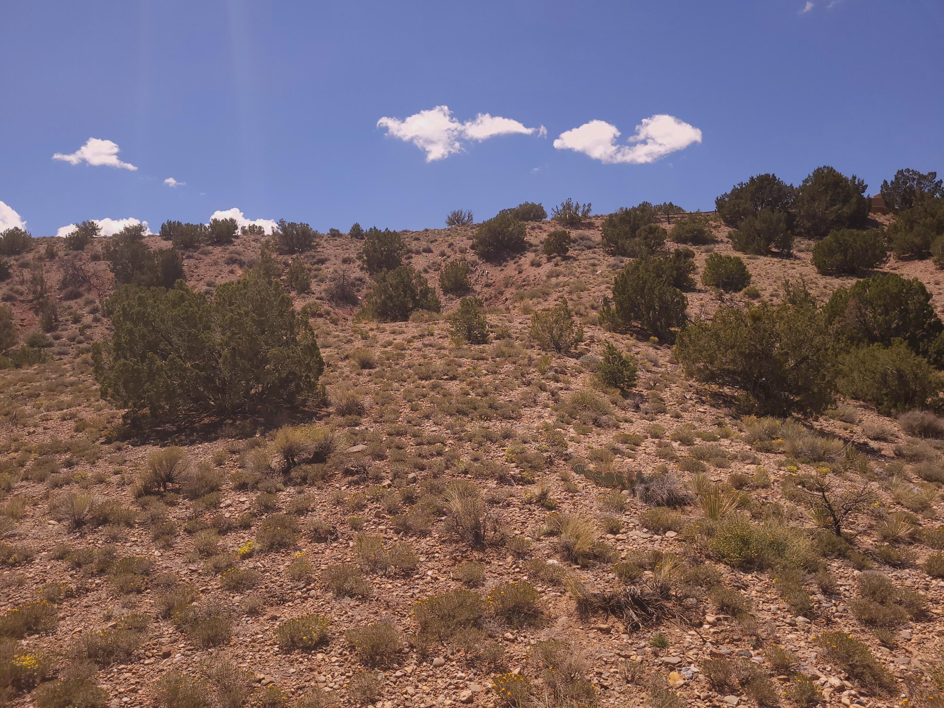 50 Cienega Canyon Road, Placitas, New Mexico image 12