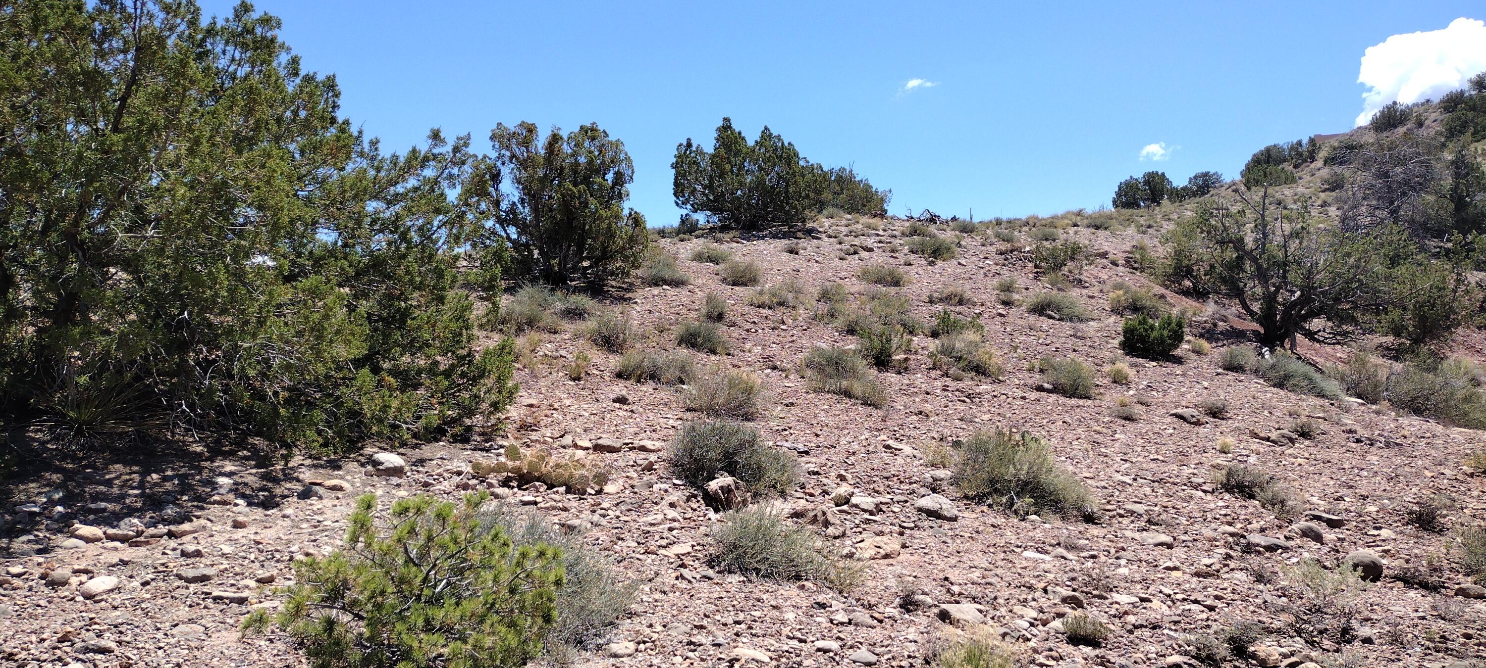 50 Cienega Canyon Road, Placitas, New Mexico image 13