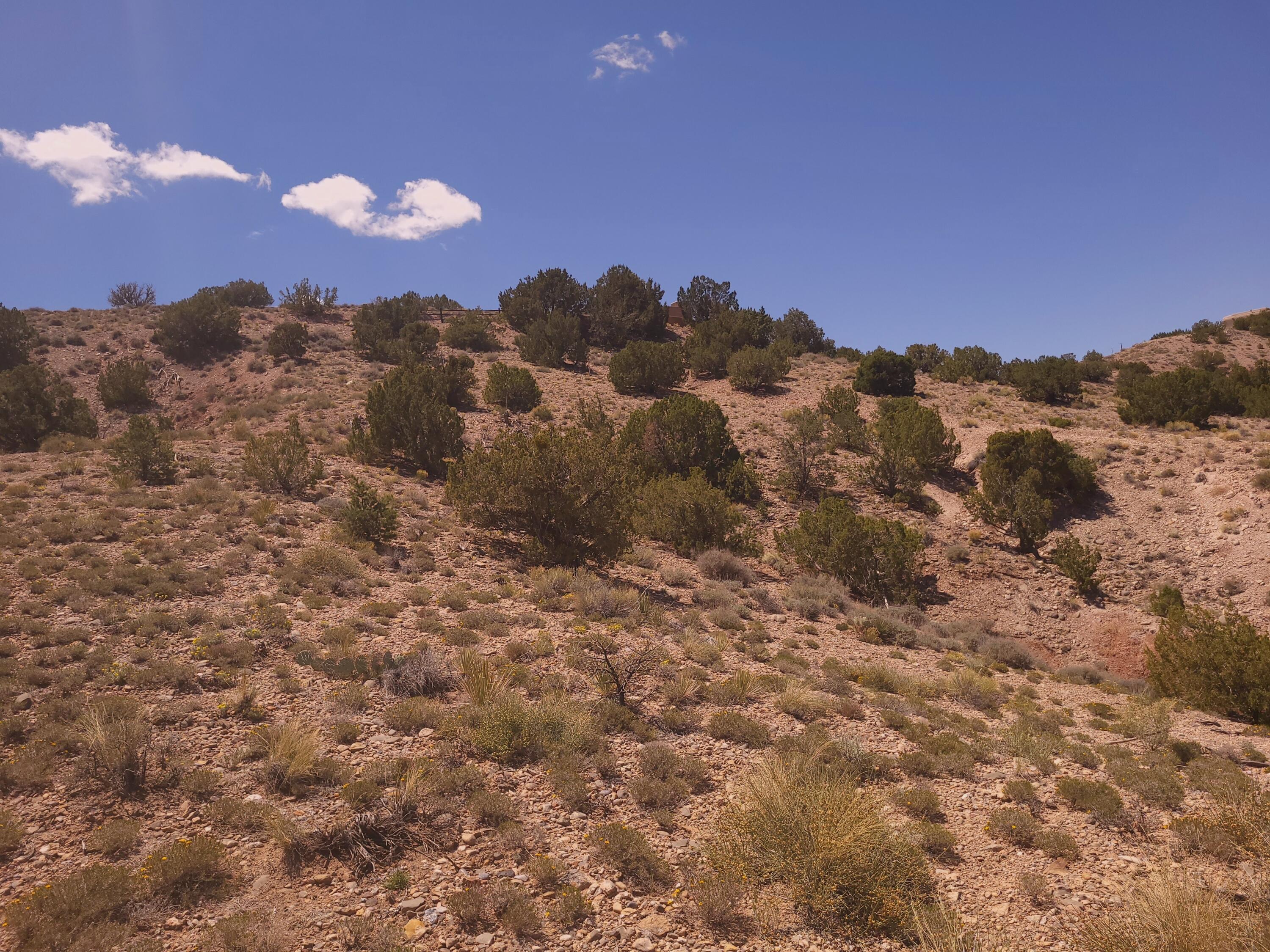 50 Cienega Canyon Road, Placitas, New Mexico image 11