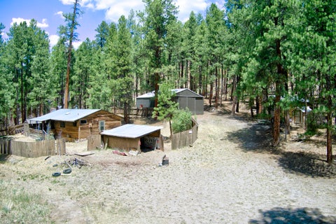 Homes For Sale - 37695 126 Highway<br/> Jemez Springs, NM 87025