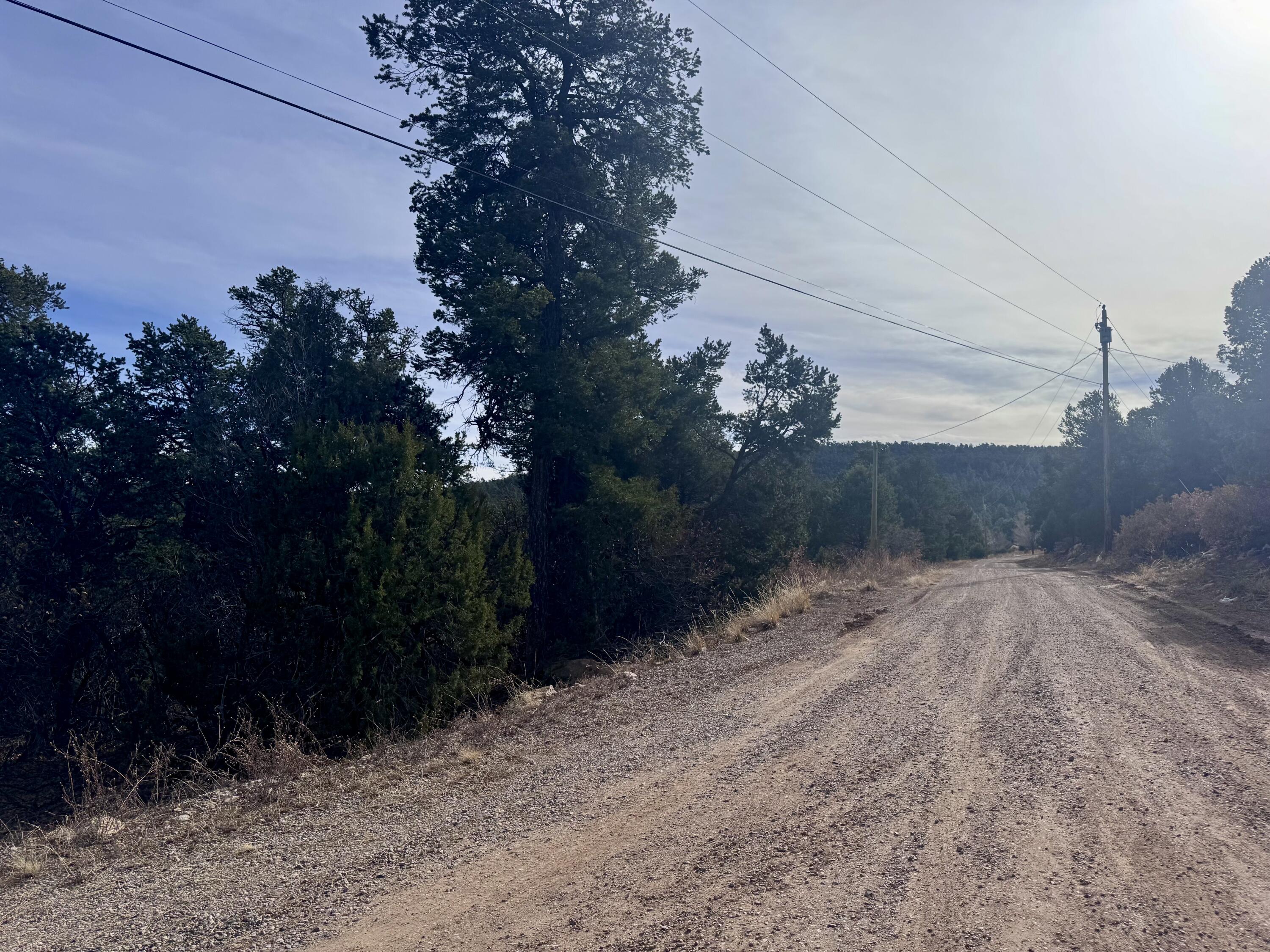 10 Fisher Court, Tijeras, New Mexico image 13