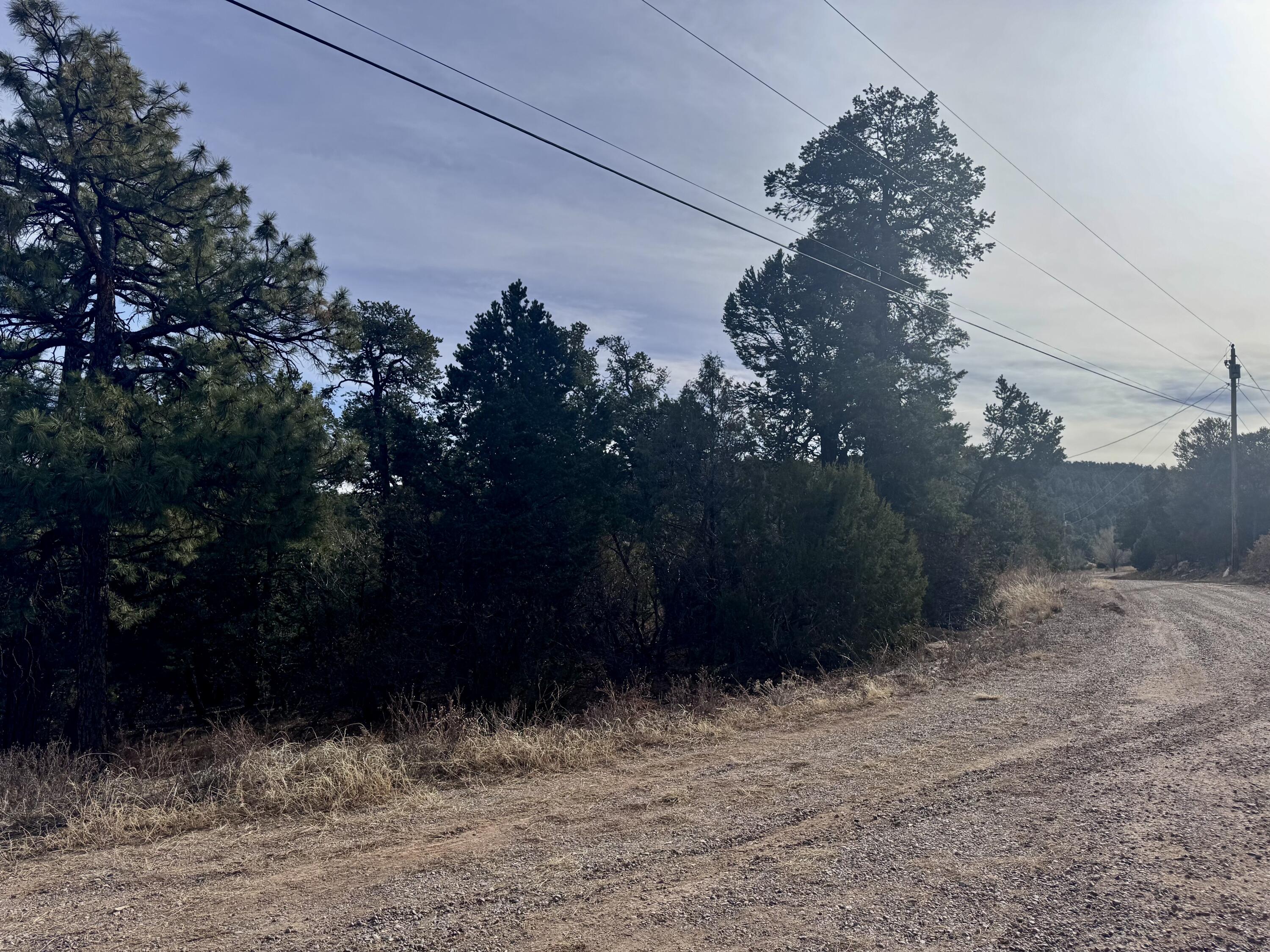 10 Fisher Court, Tijeras, New Mexico image 14