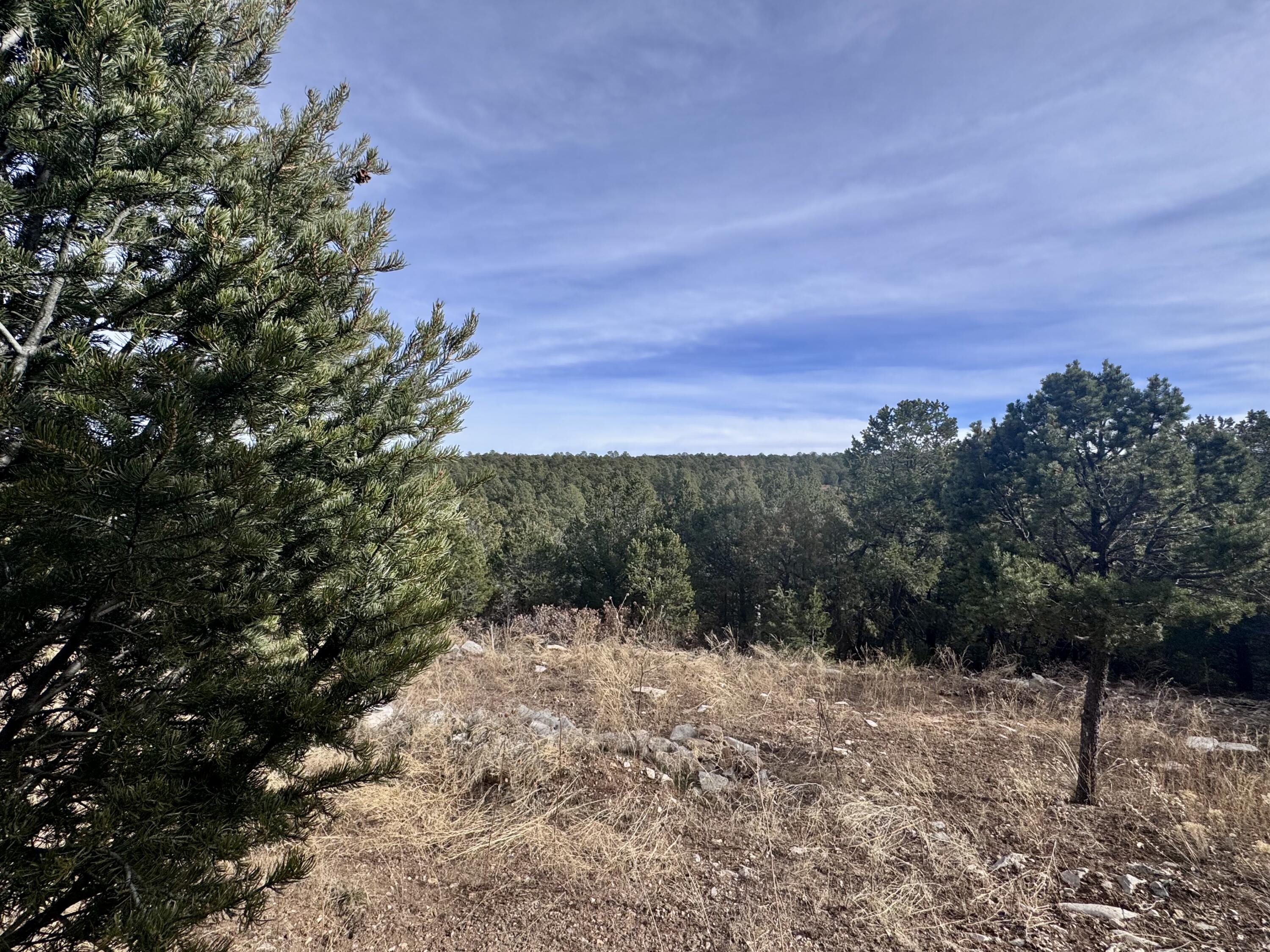 10 Fisher Court, Tijeras, New Mexico image 9