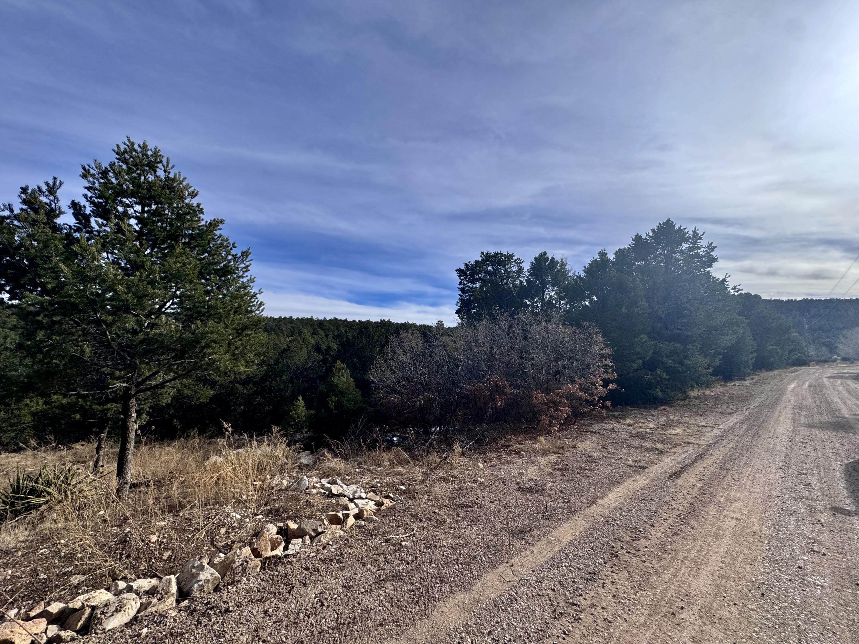 10 Fisher Court, Tijeras, New Mexico image 8