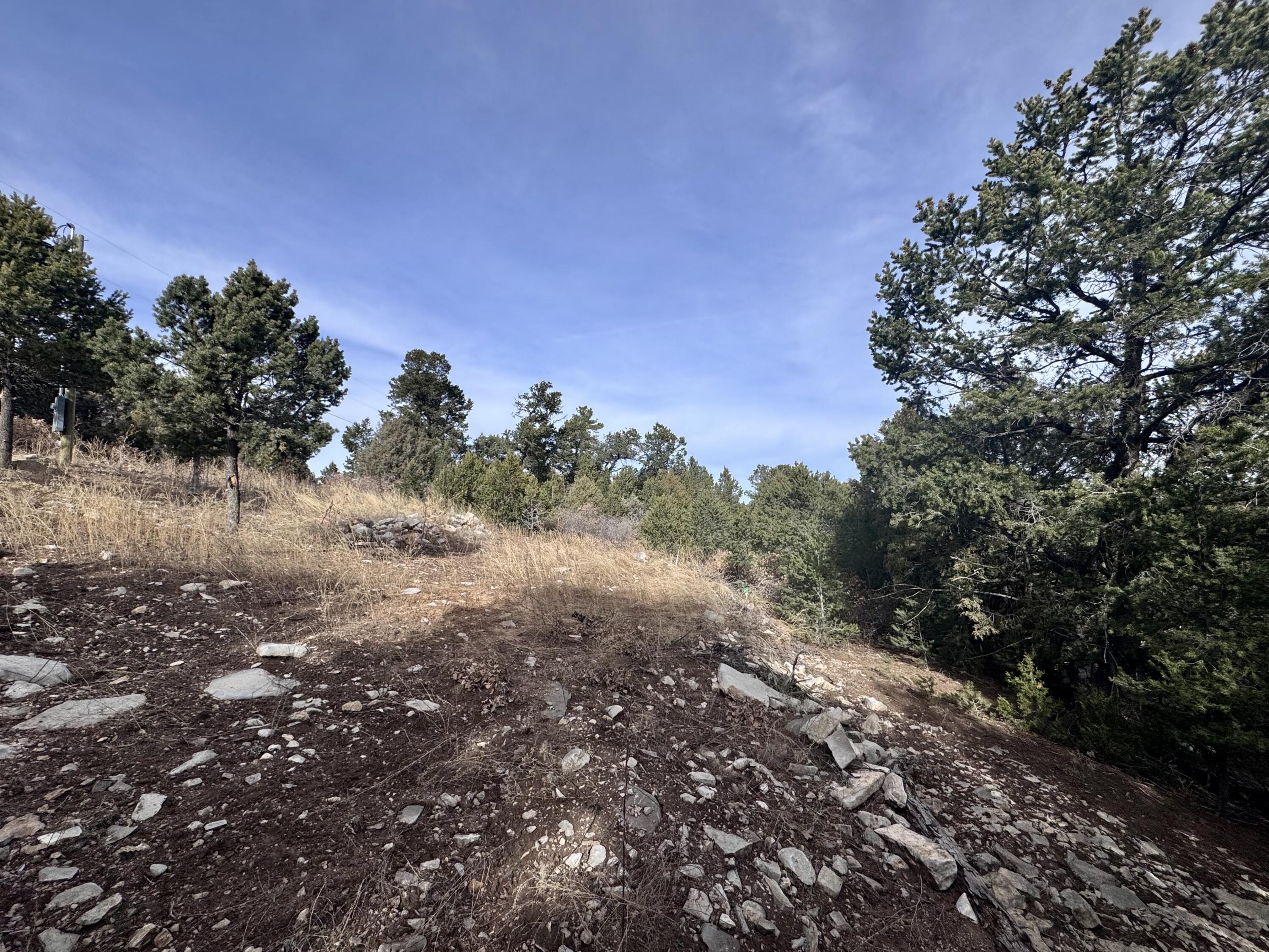 10 Fisher Court, Tijeras, New Mexico image 12