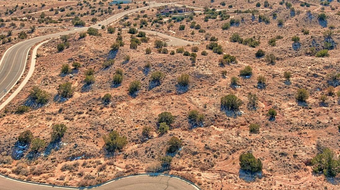 2305 Desert Marigold Road NE