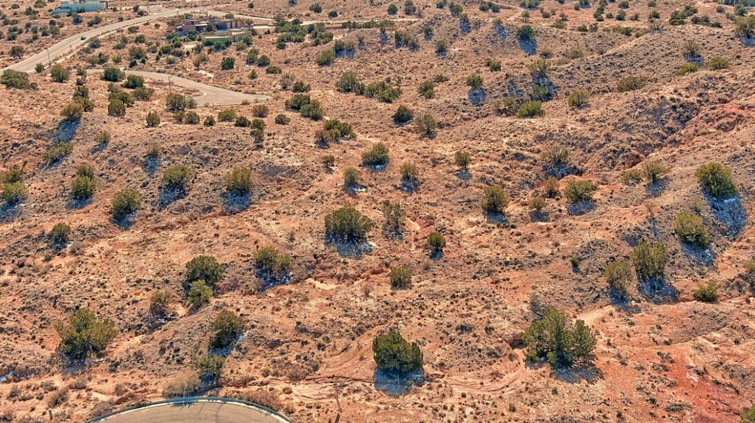 2305 Desert Marigold Road NE