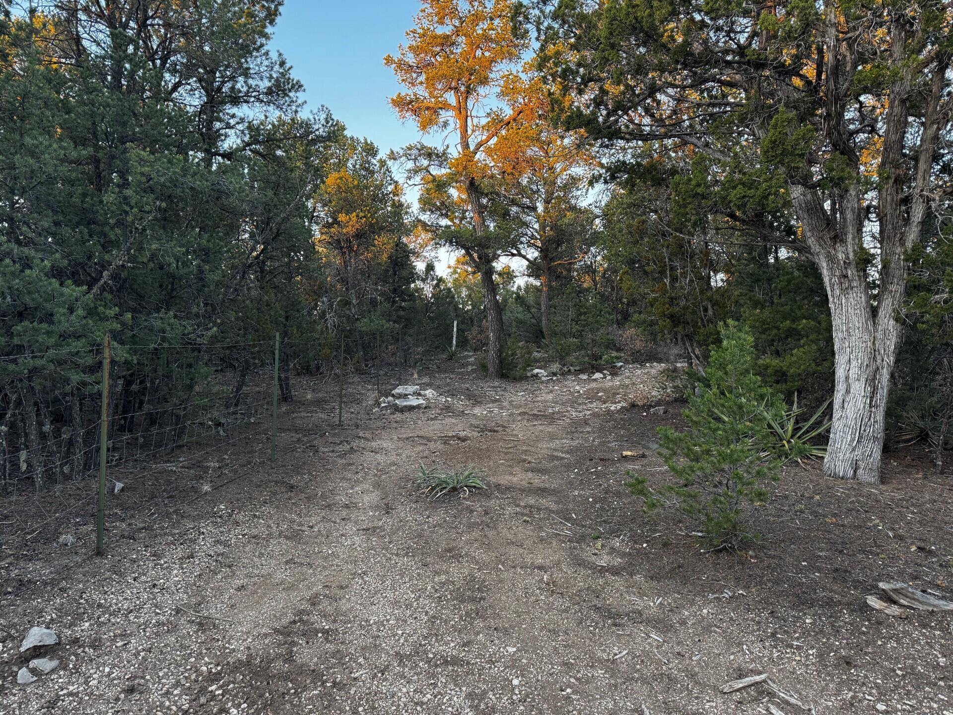 8 Belle Starr Road, Edgewood, New Mexico image 10