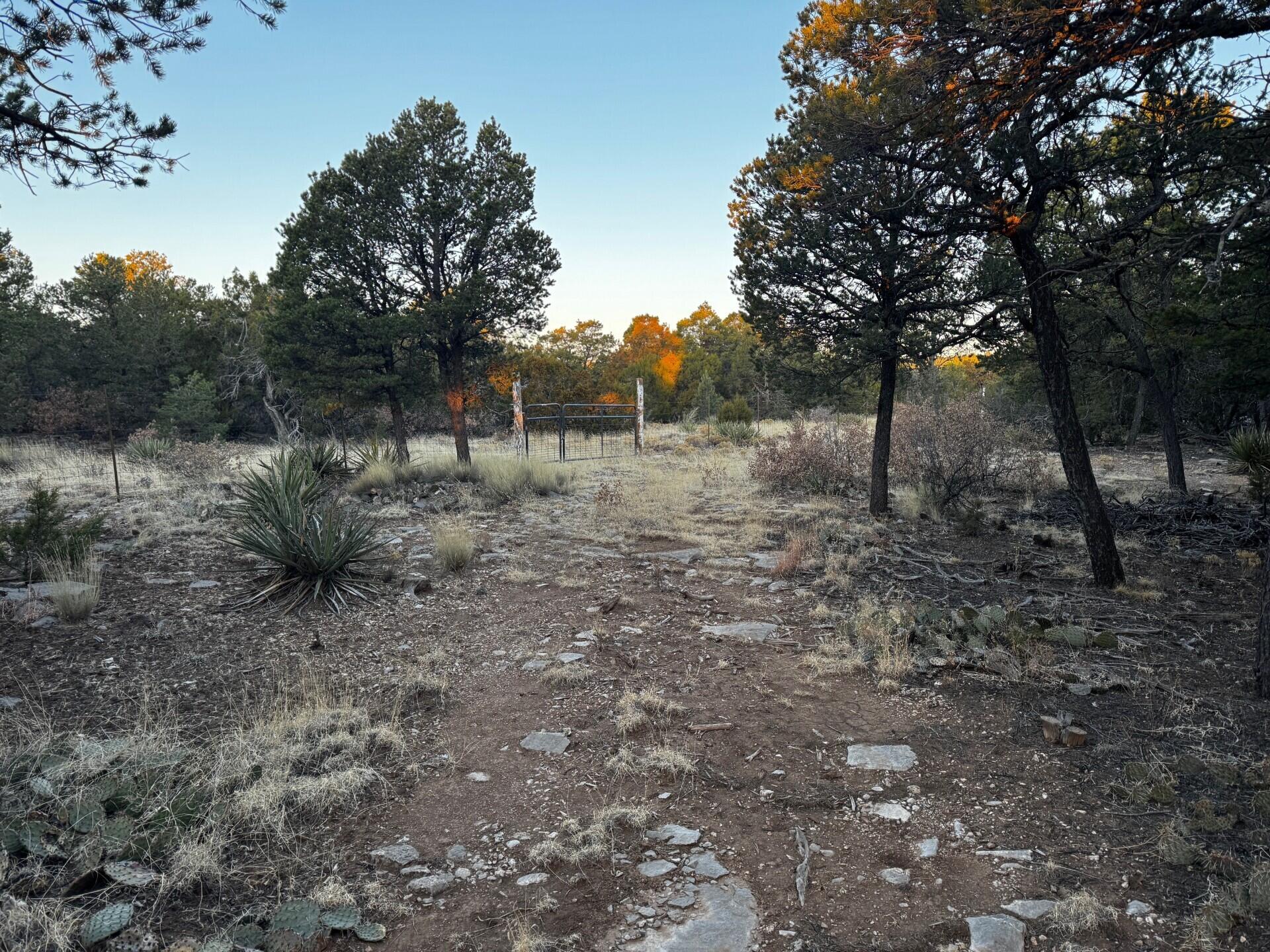 8 Belle Starr Road, Edgewood, New Mexico image 17